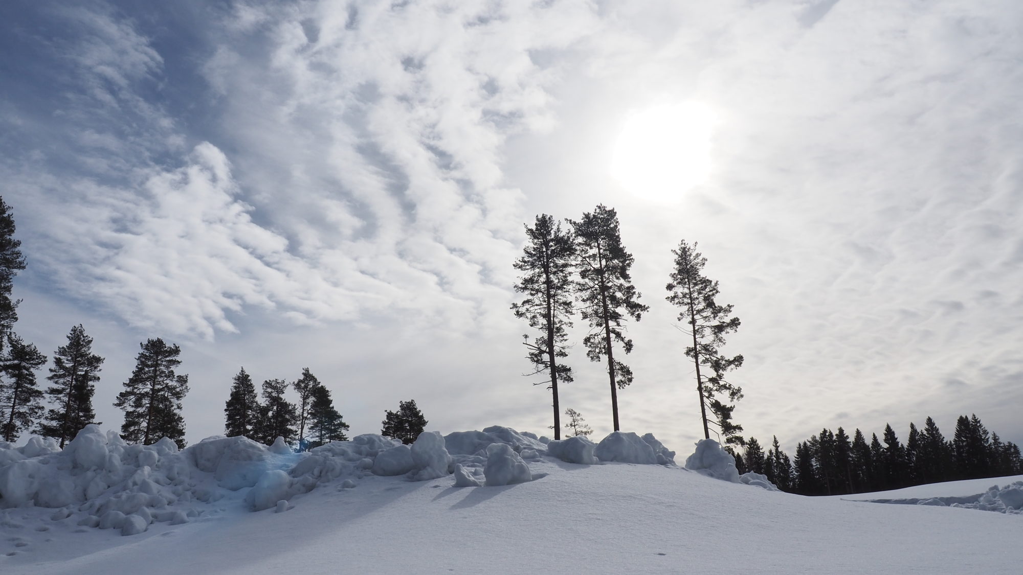 Valokuvaaja: Arja Valtonen