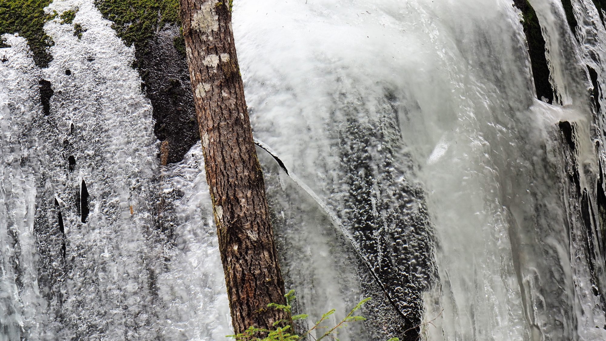 Valokuvaaja: Arja Valtonen