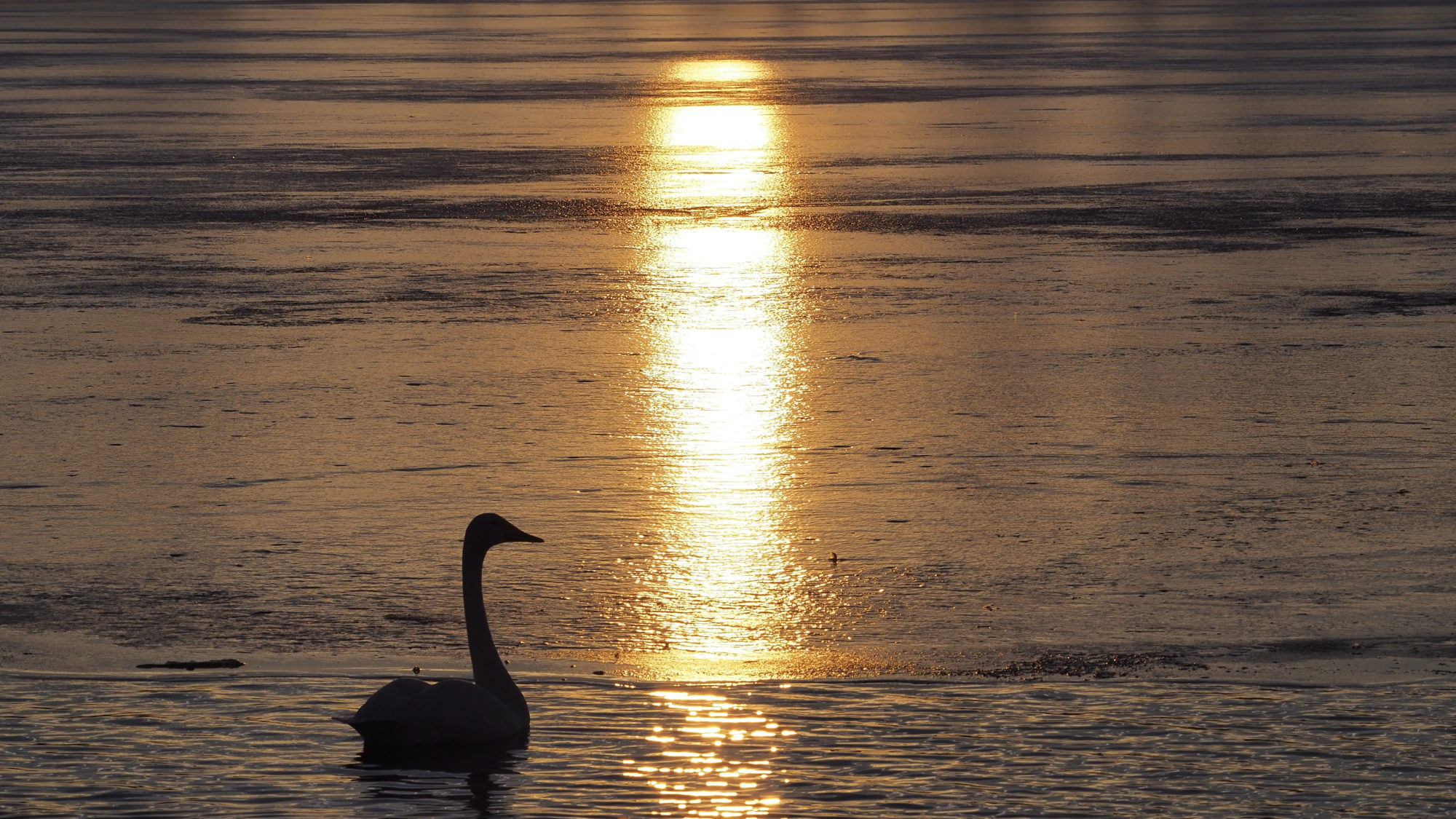 Valokuvaaja: Arja Valtonen