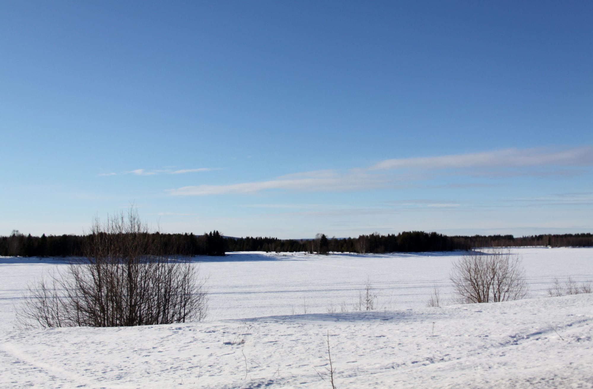 Valokuvaaja: Pirkko Siukonen