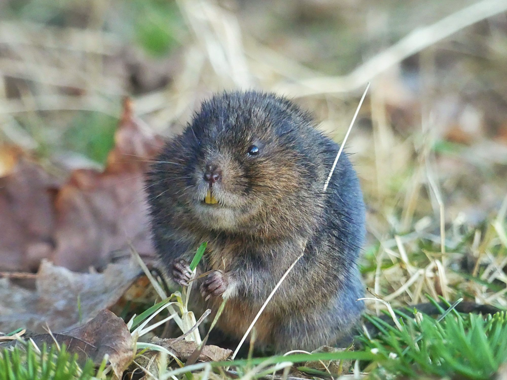 Valokuvaaja: Noora Miettinen