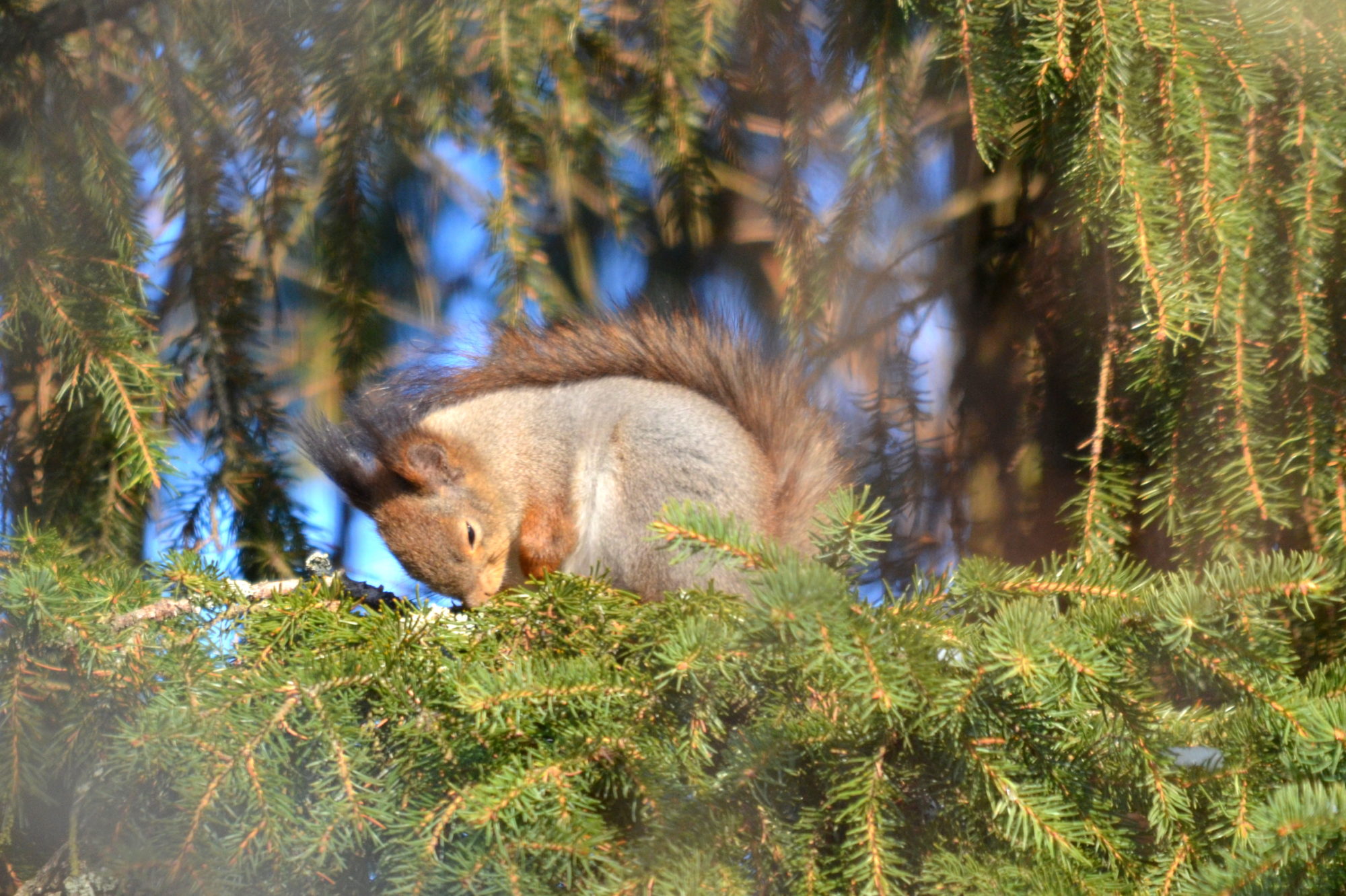 Valokuvaaja: Kaarlo Asikainen