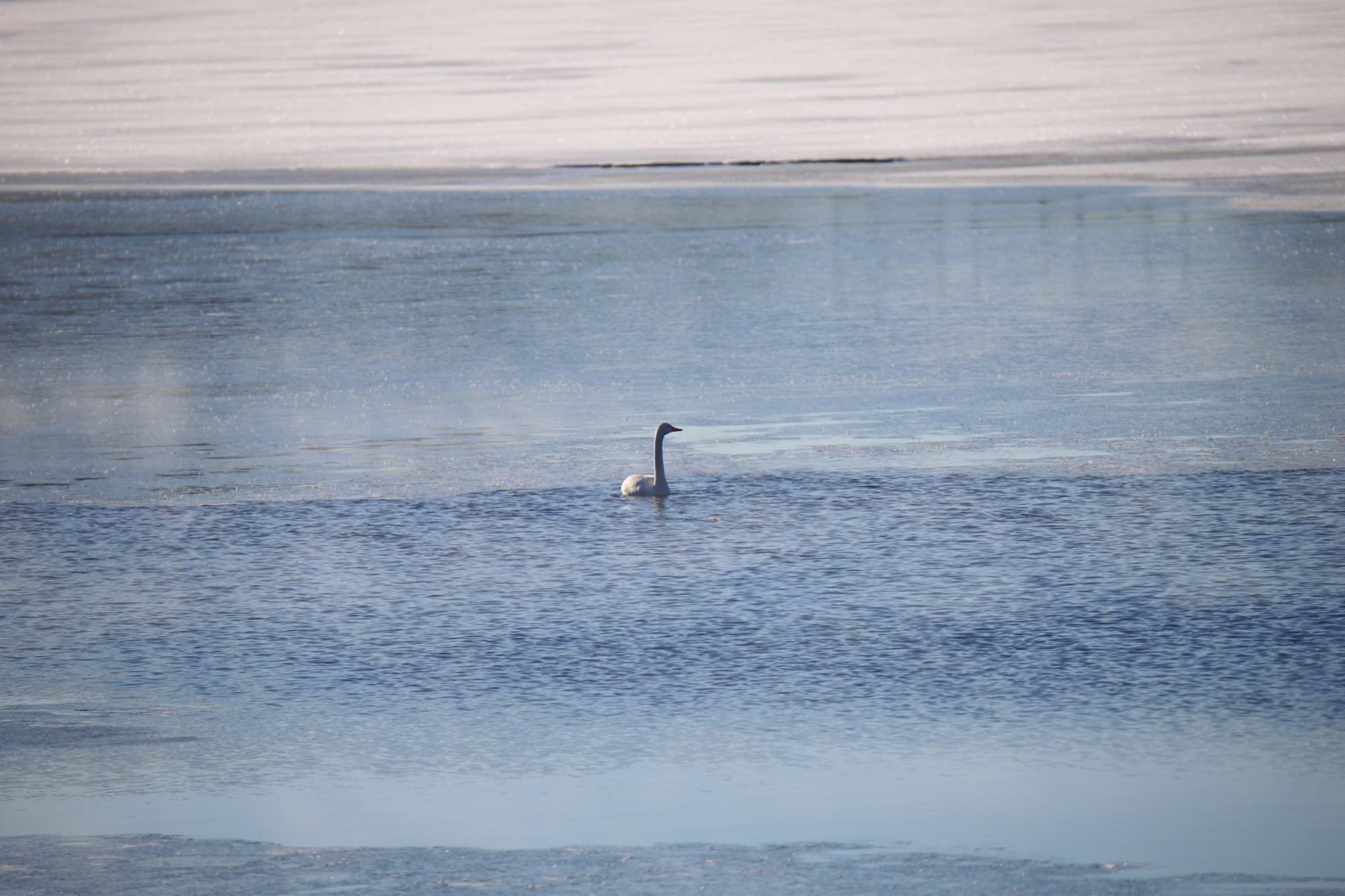 Valokuvaaja: sirpa jyske