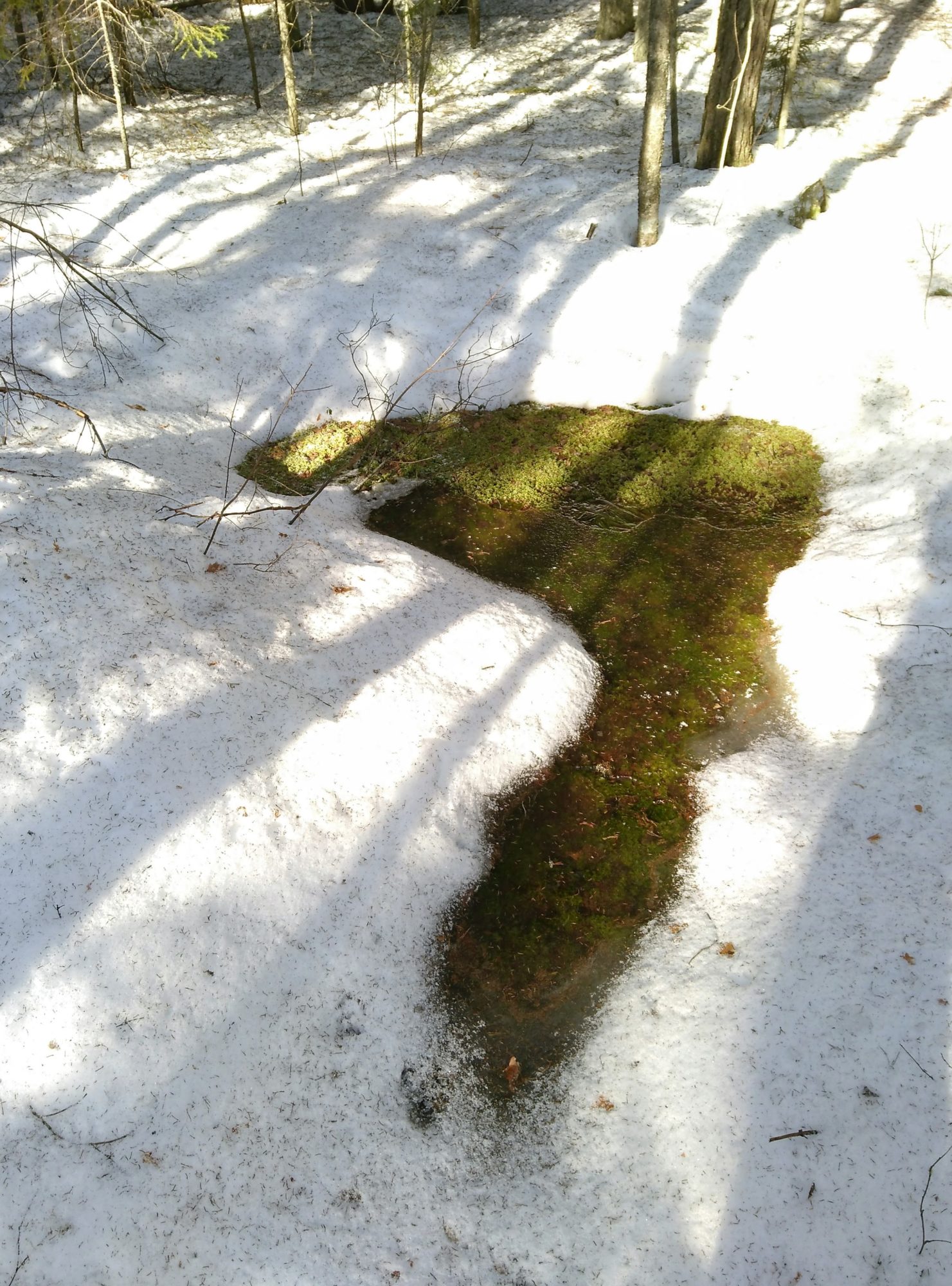 Valokuvaaja: Tero Heinonen