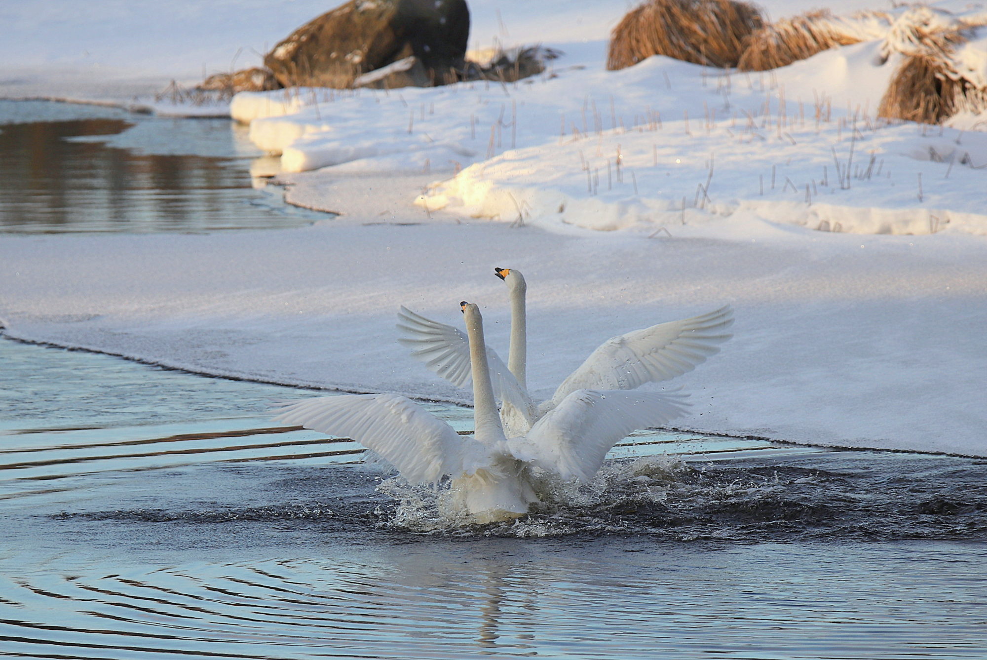 Valokuvaaja: sirpa jyske
