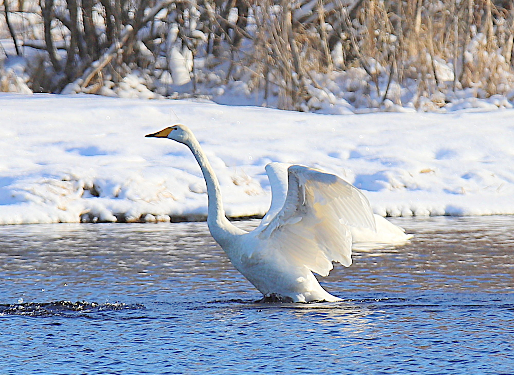 Valokuvaaja: sirpa jyske