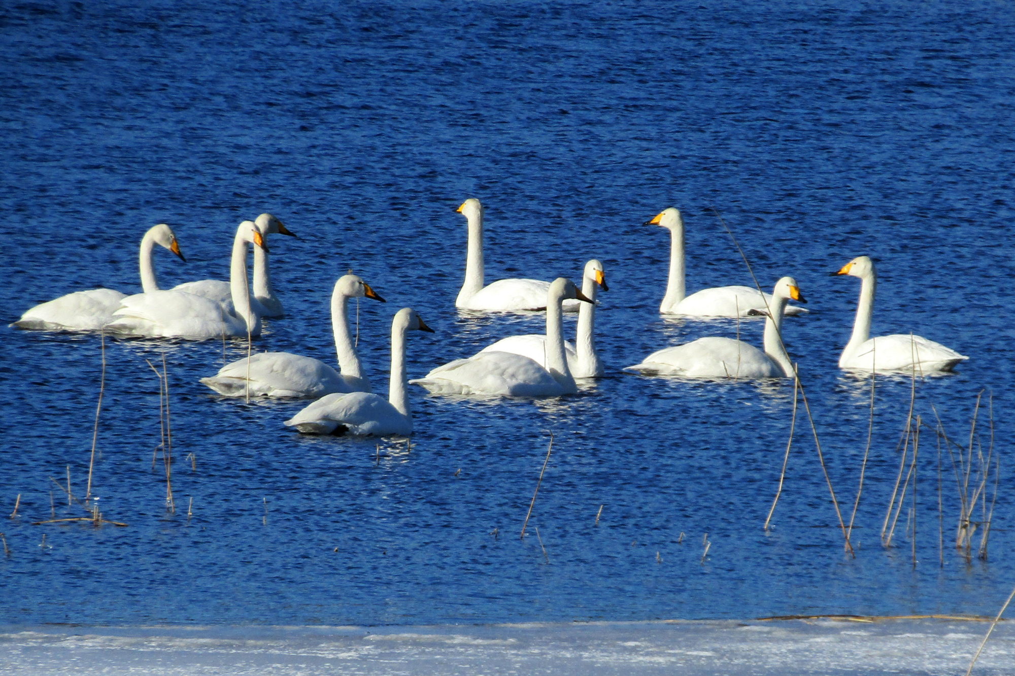 Valokuvaaja: Sirkka Ruotoistenmäki