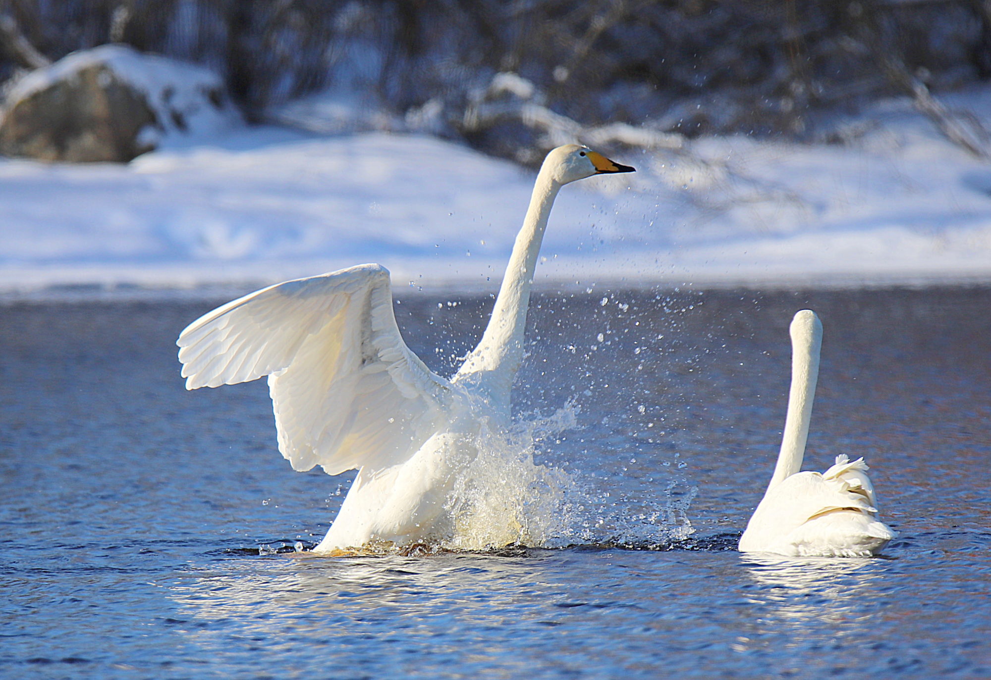 Valokuvaaja: sirpa jyske