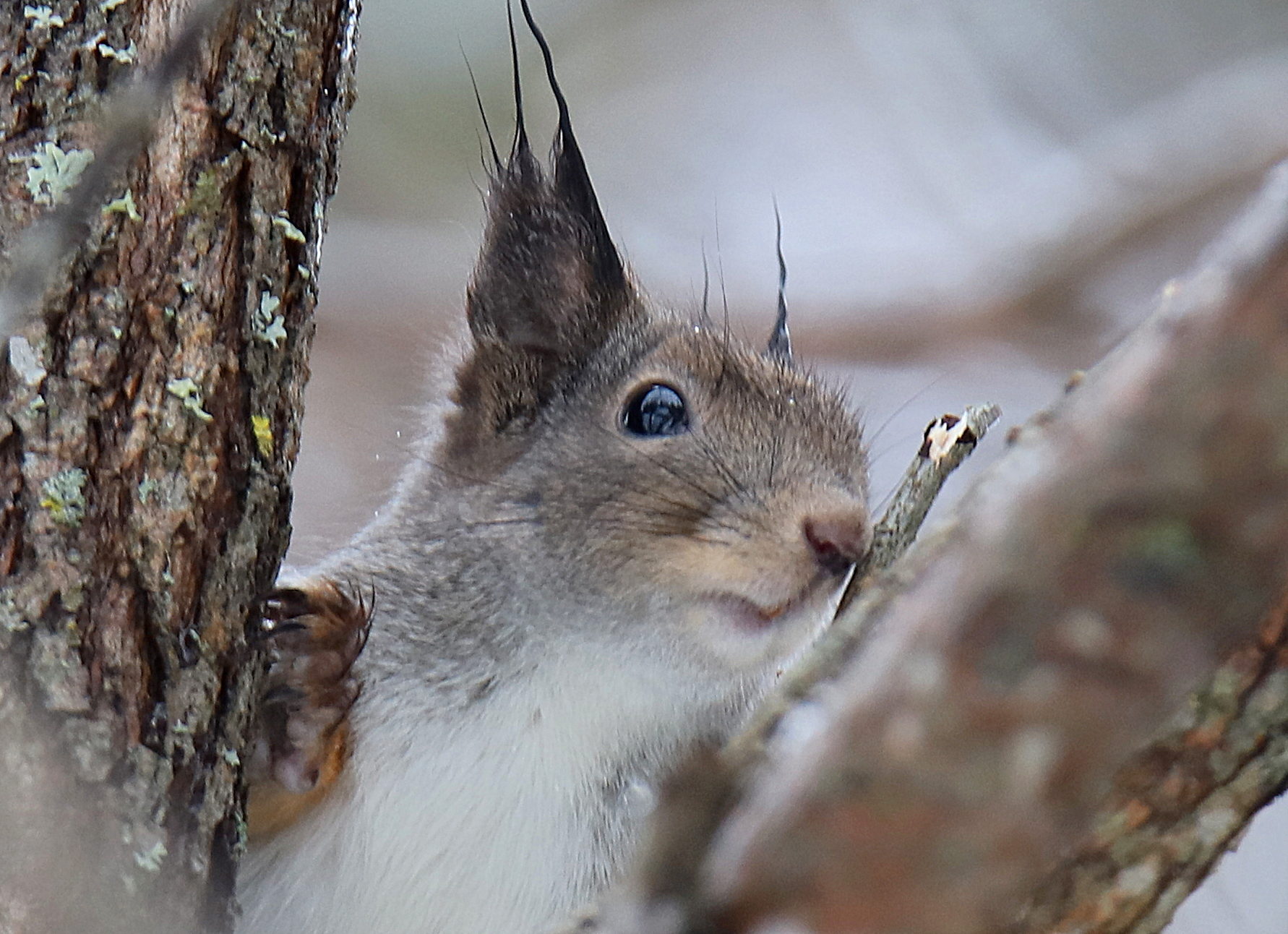 Valokuvaaja: sirpa jyske Valokuvaaja: sirpa jyske