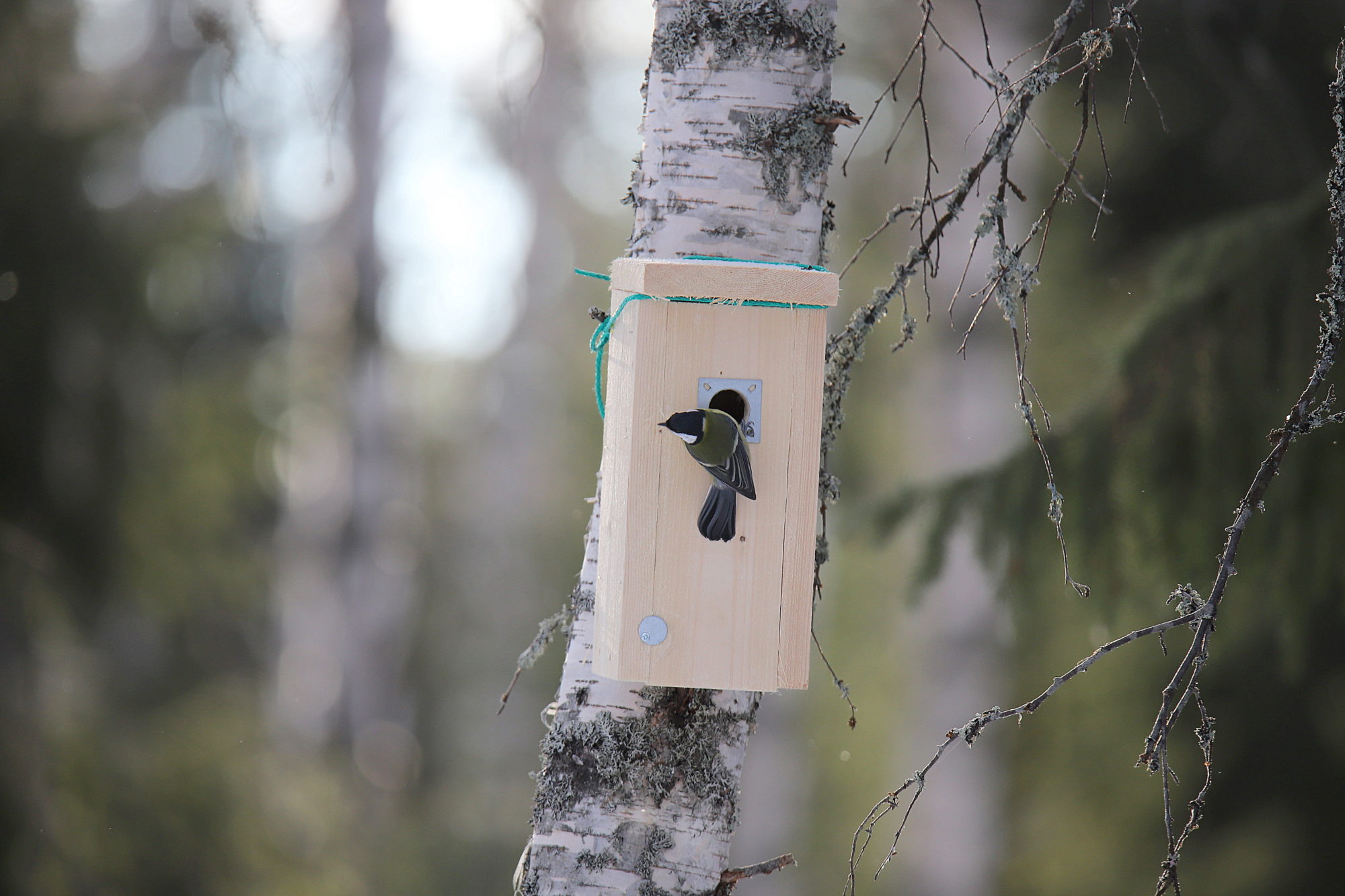 Valokuvaaja: sirpa jyske