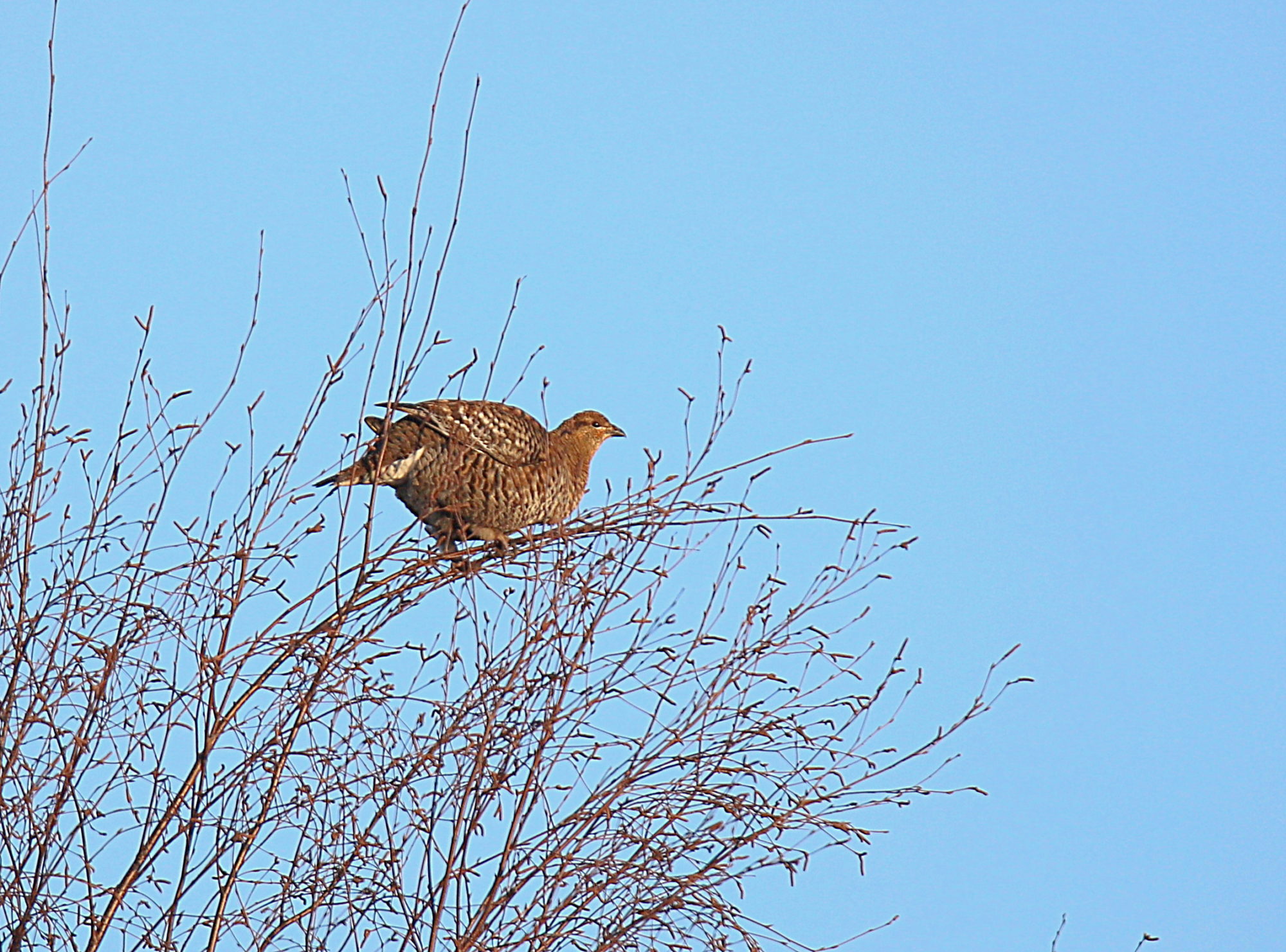 Valokuvaaja: sirpa jyske