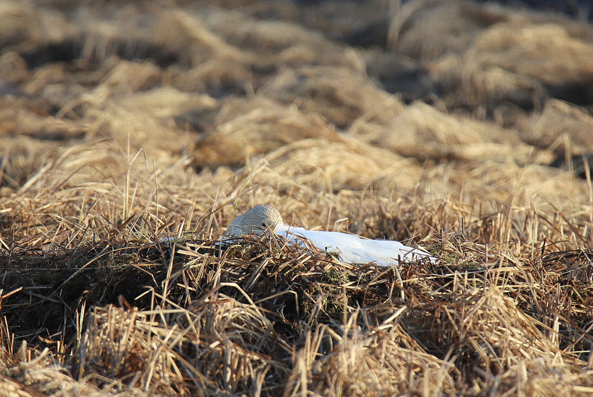 Valokuvaaja: sirpa jyske