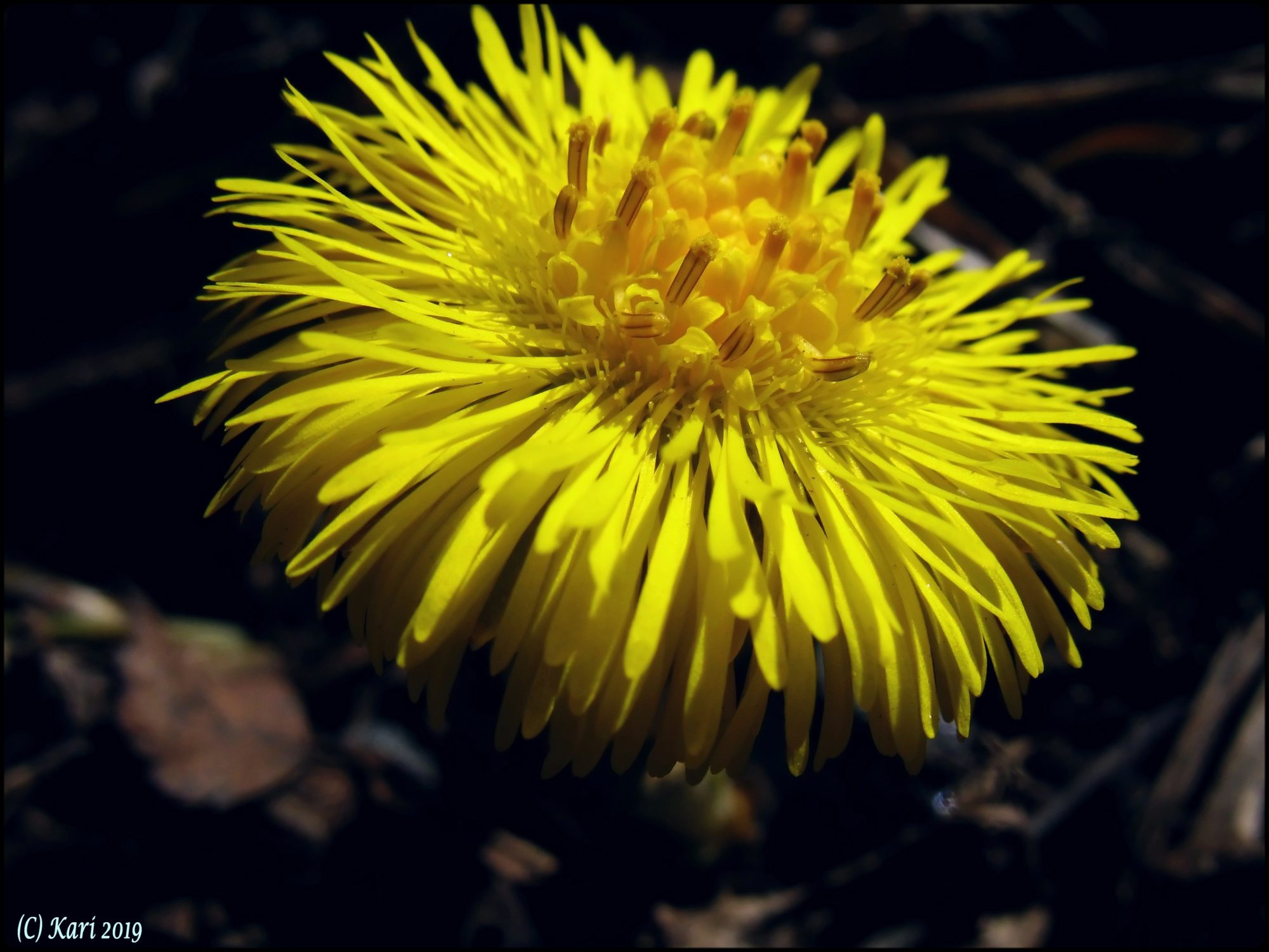 Valokuvaaja: Kari Saarinen