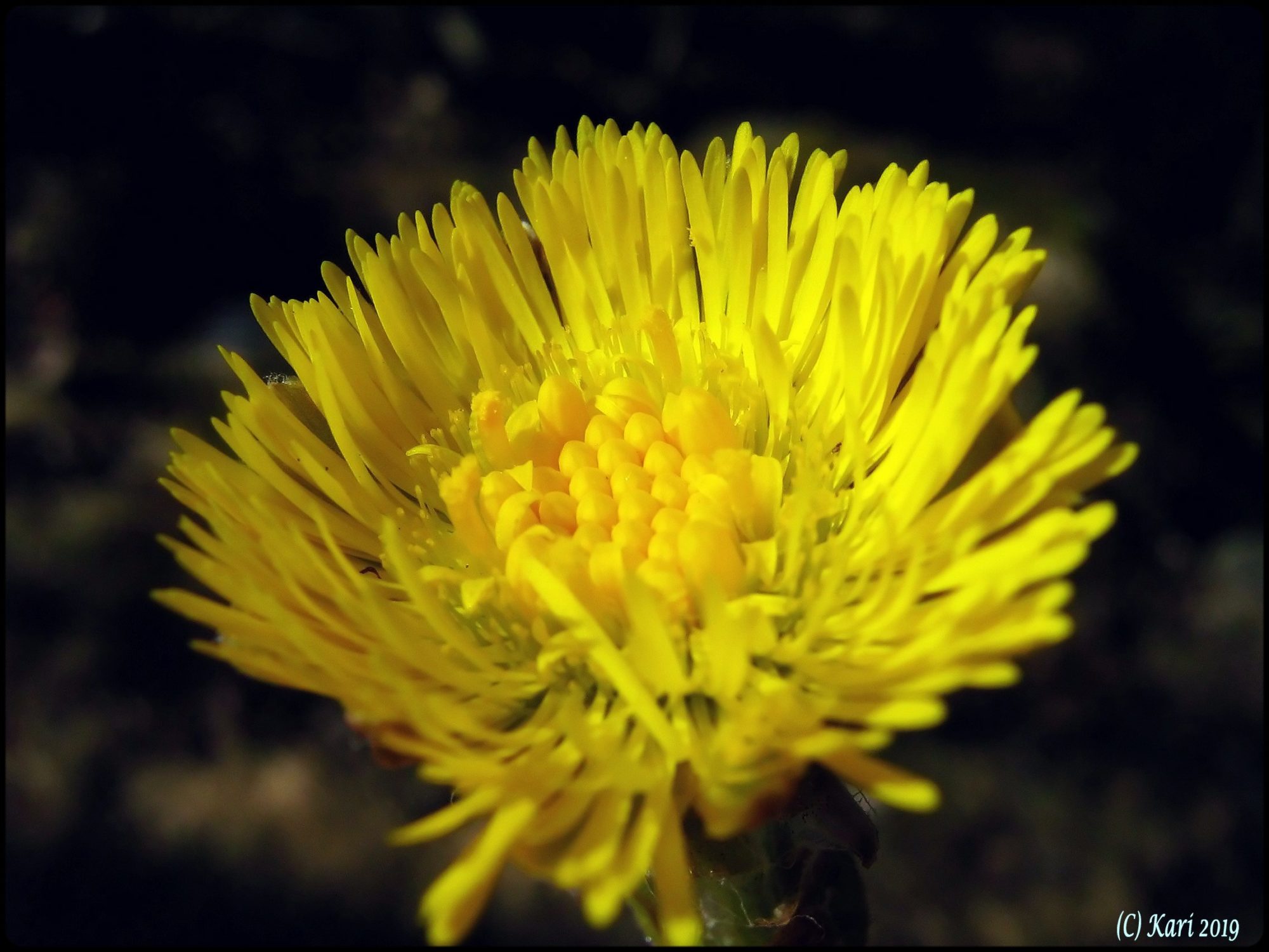 Valokuvaaja: Kari Saarinen