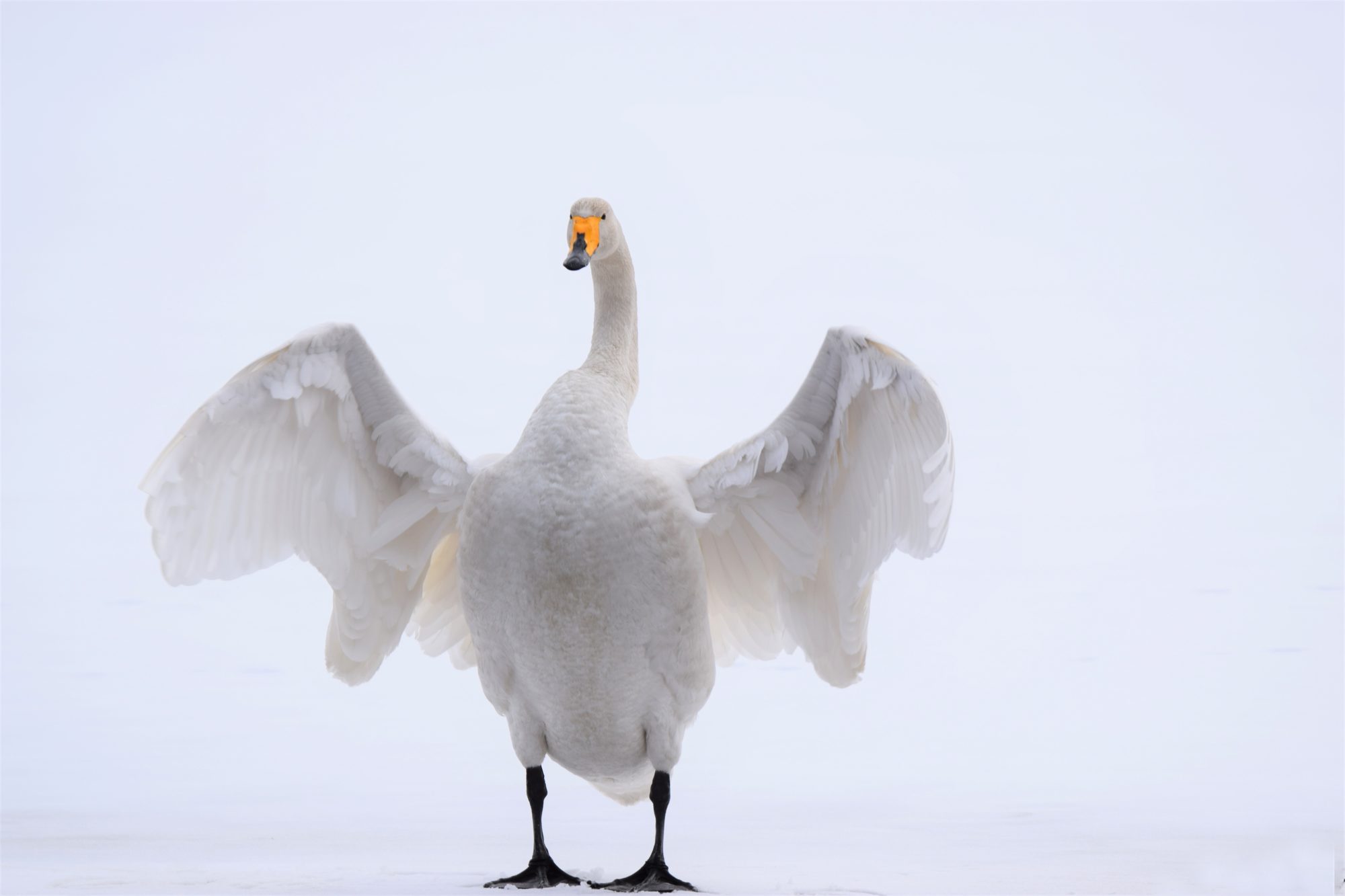 Valokuvaaja: Leena Rissanen