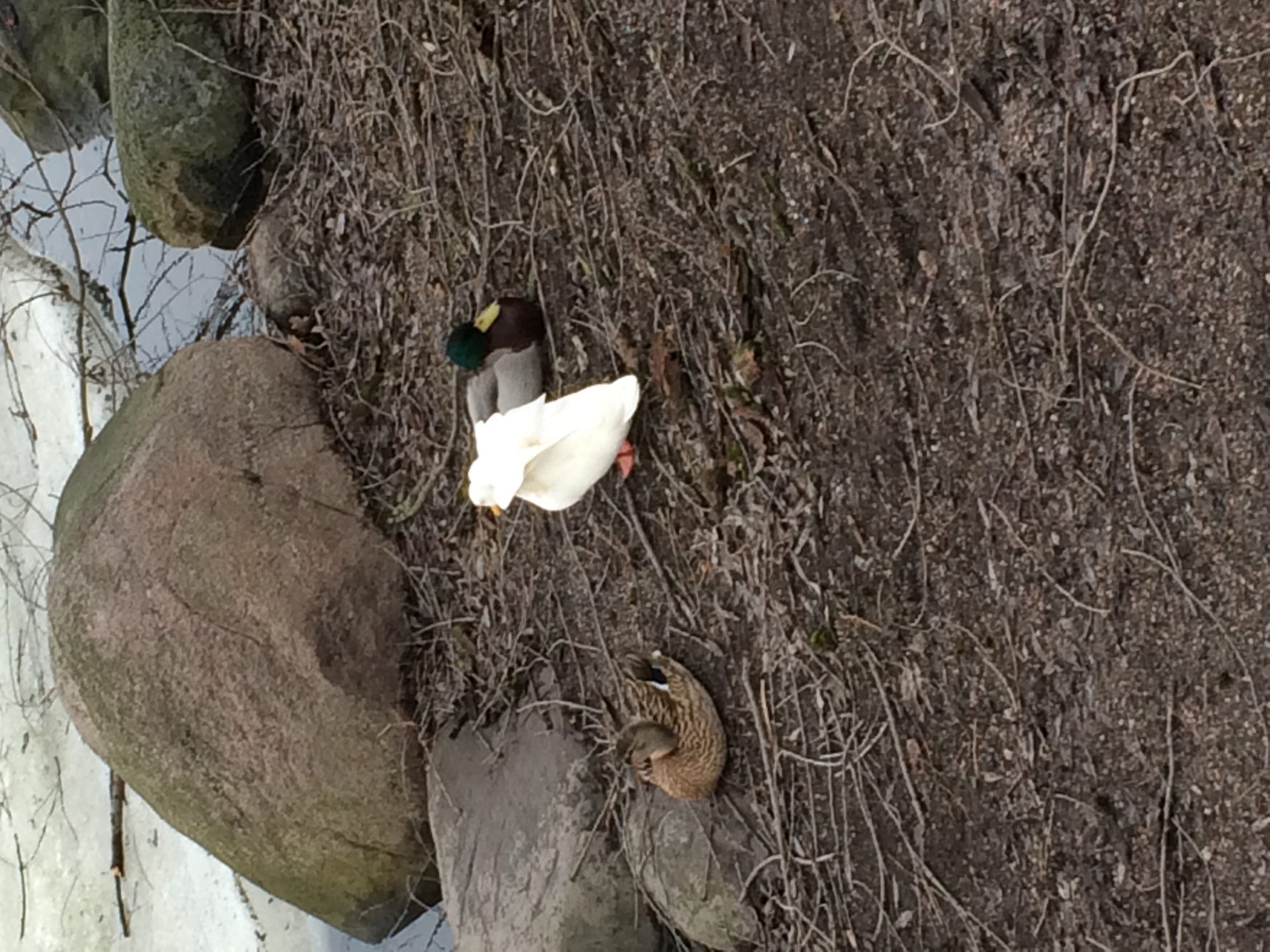 Valokuvaaja: Mira Kinnunen