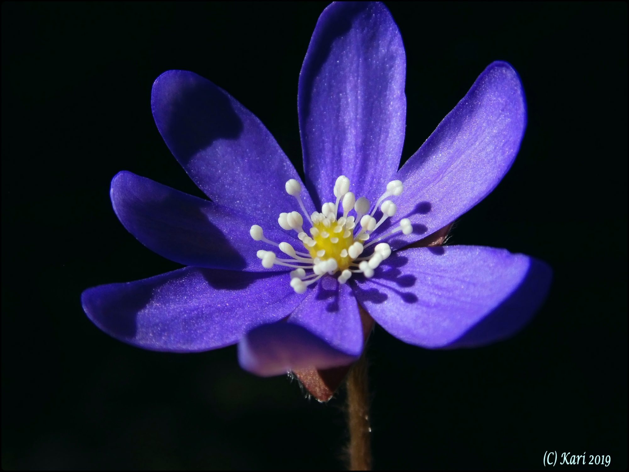 Valokuvaaja: Kari Saarinen