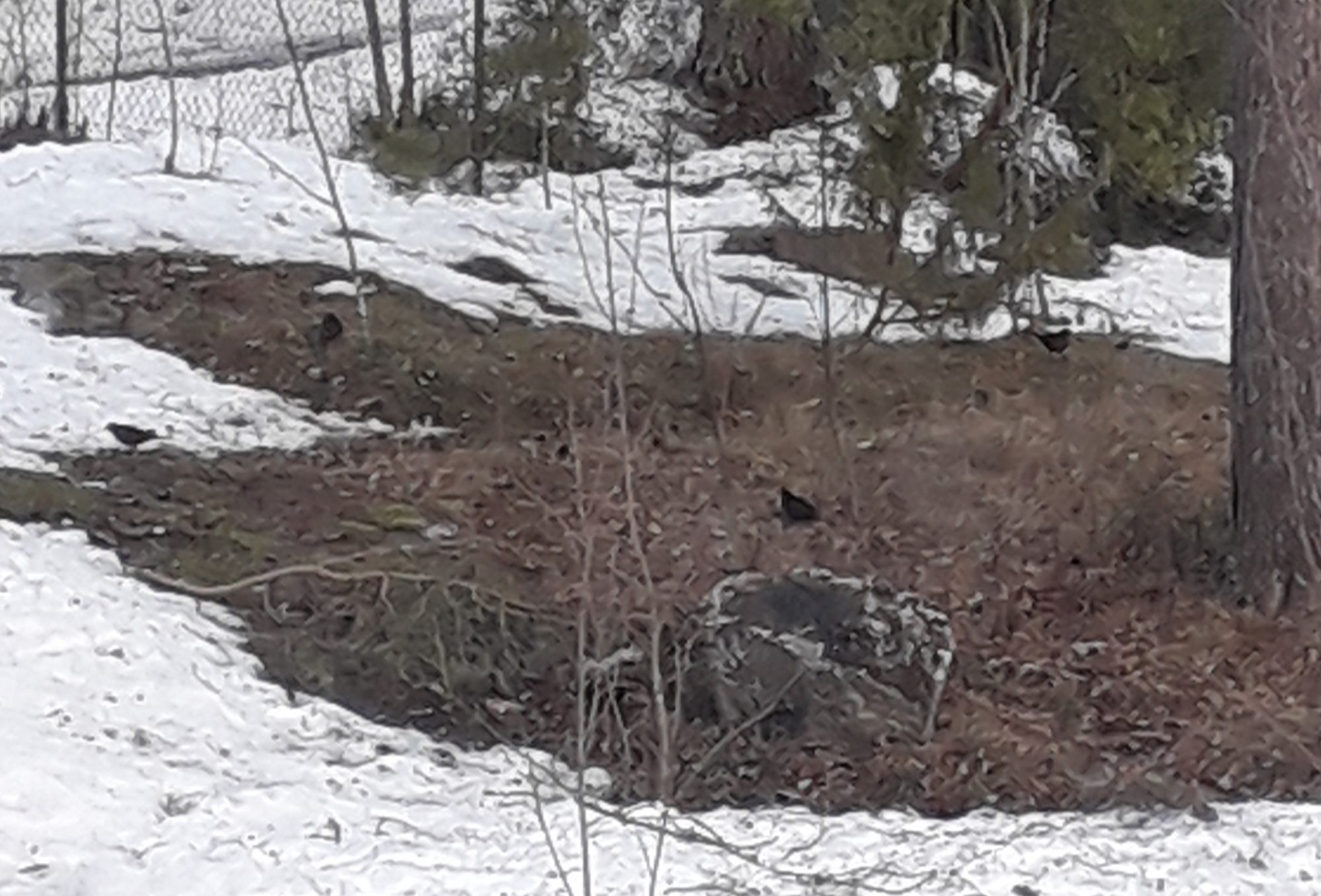 Valokuvaaja: Sirkka Junkkarinen