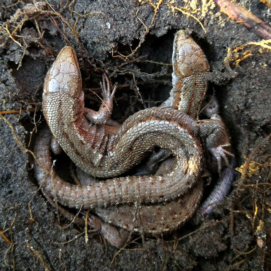 Valokuvaaja: Lauri Friman