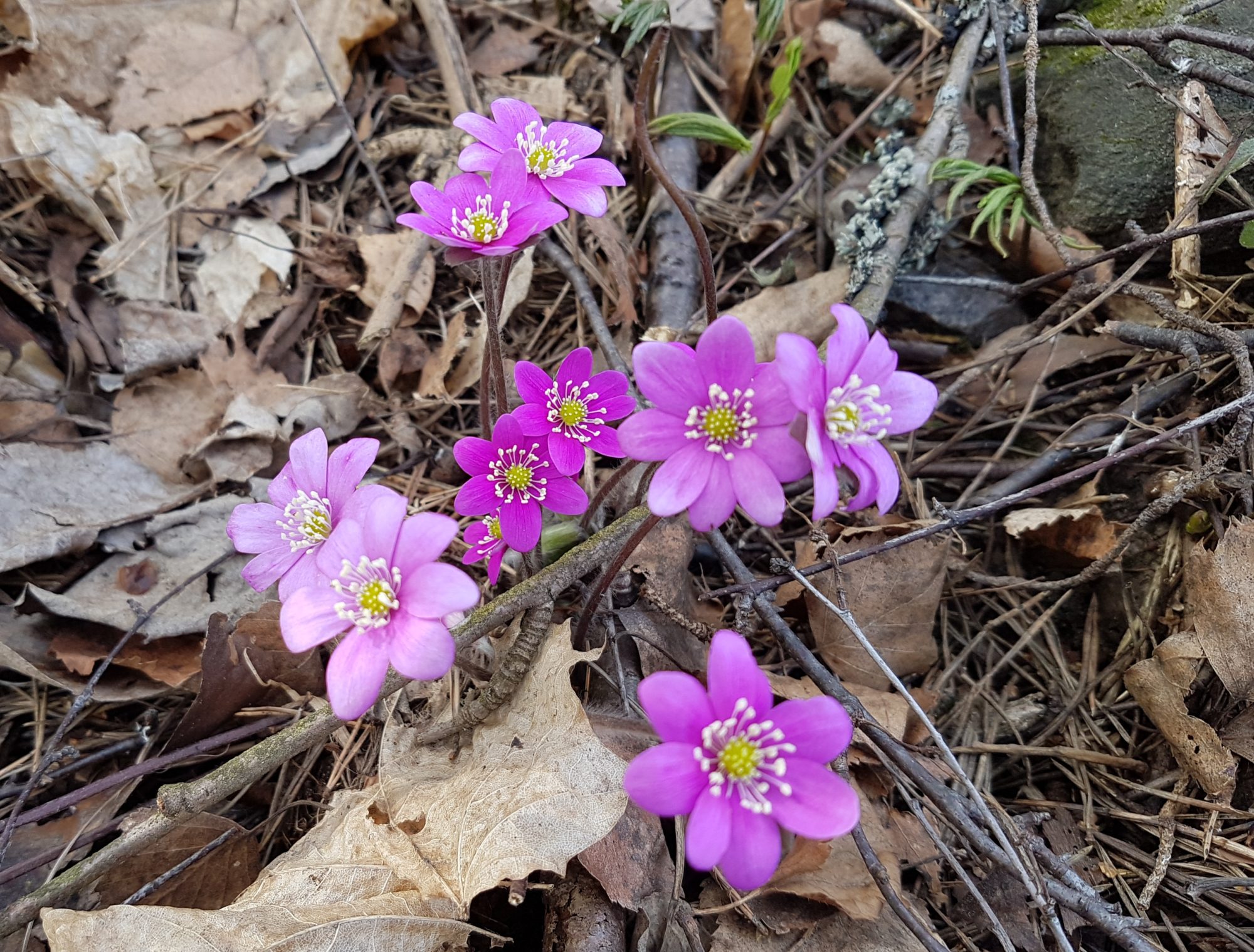 Valokuvaaja: Sirkka Inkinen