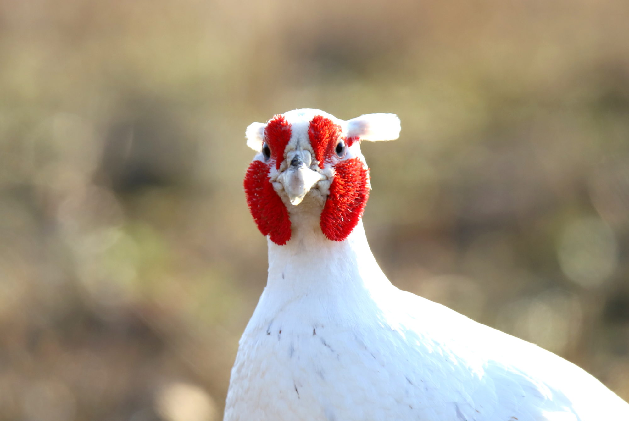Valokuvaaja: sirpa jyske