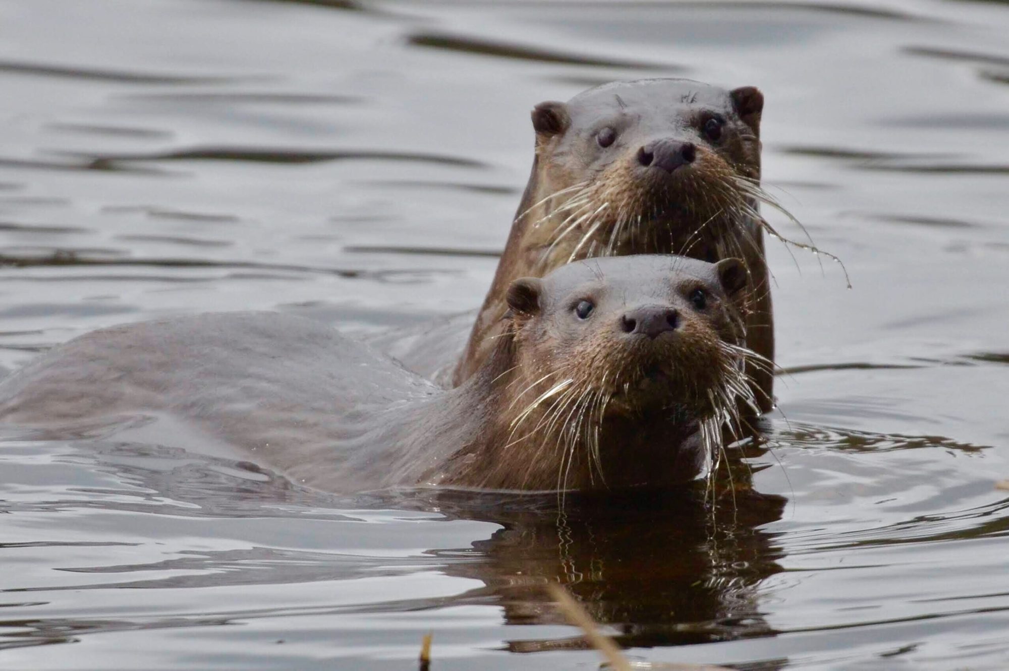 Valokuvaaja: Jouko Etelä