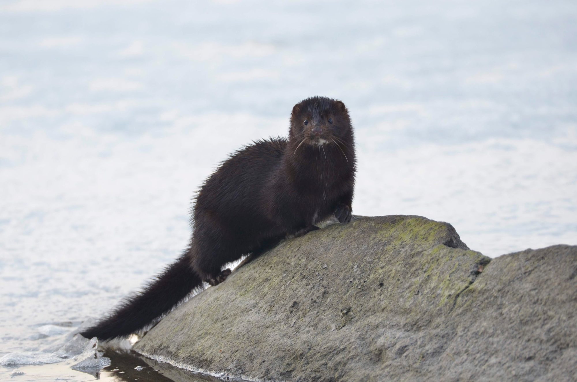 Valokuvaaja: Jouko Etelä