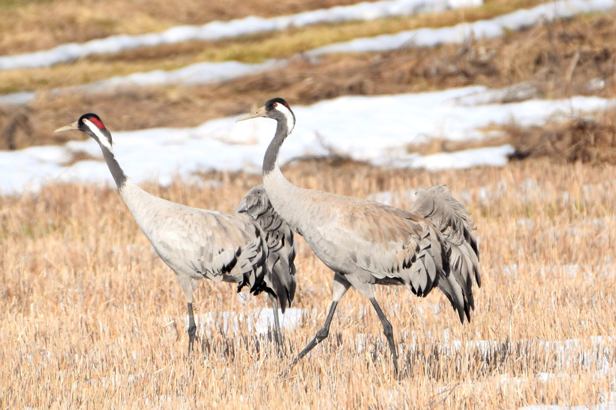 Valokuvaaja: Leena Rissanen