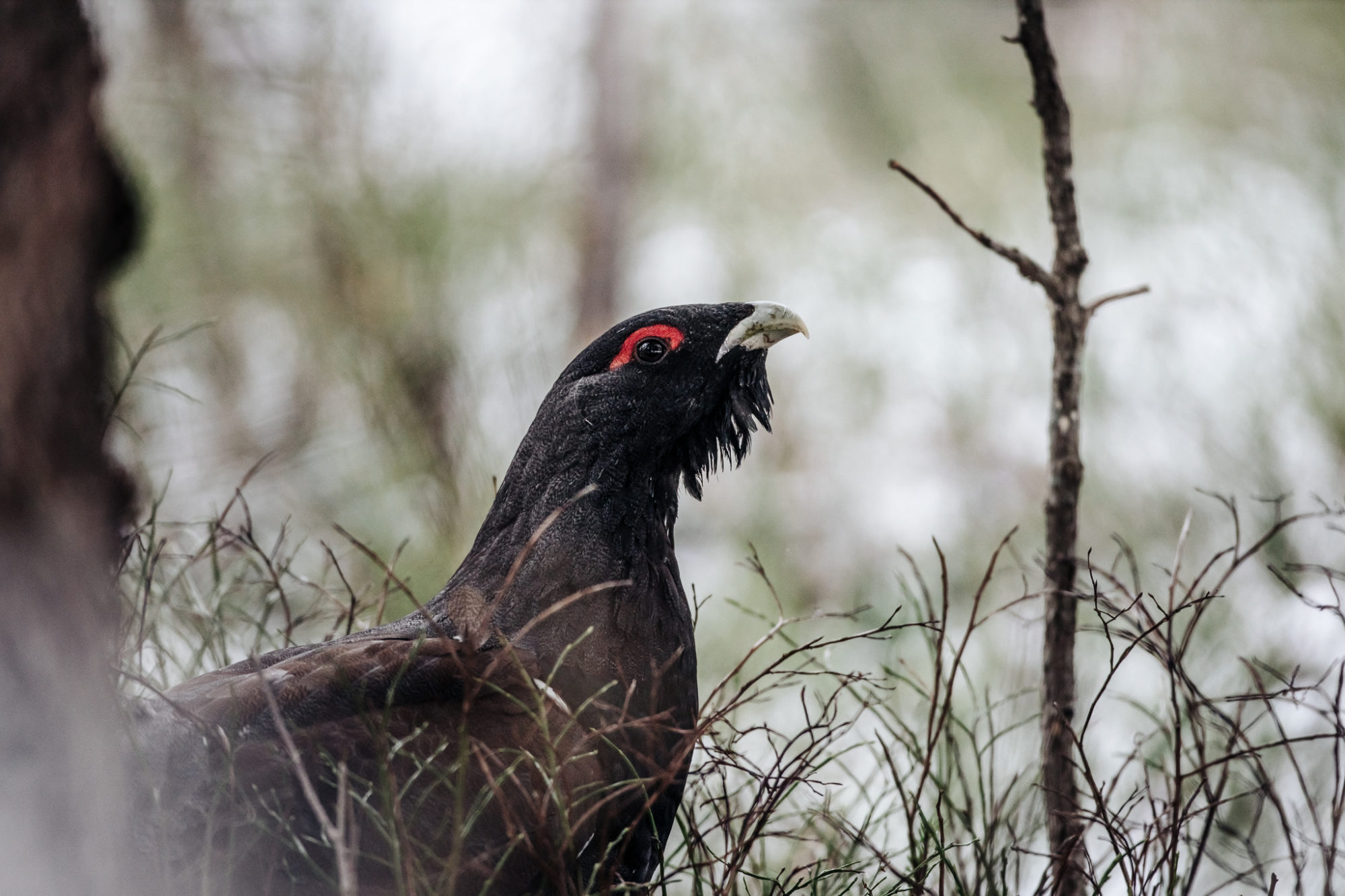 Valokuvaaja: Satu Mali