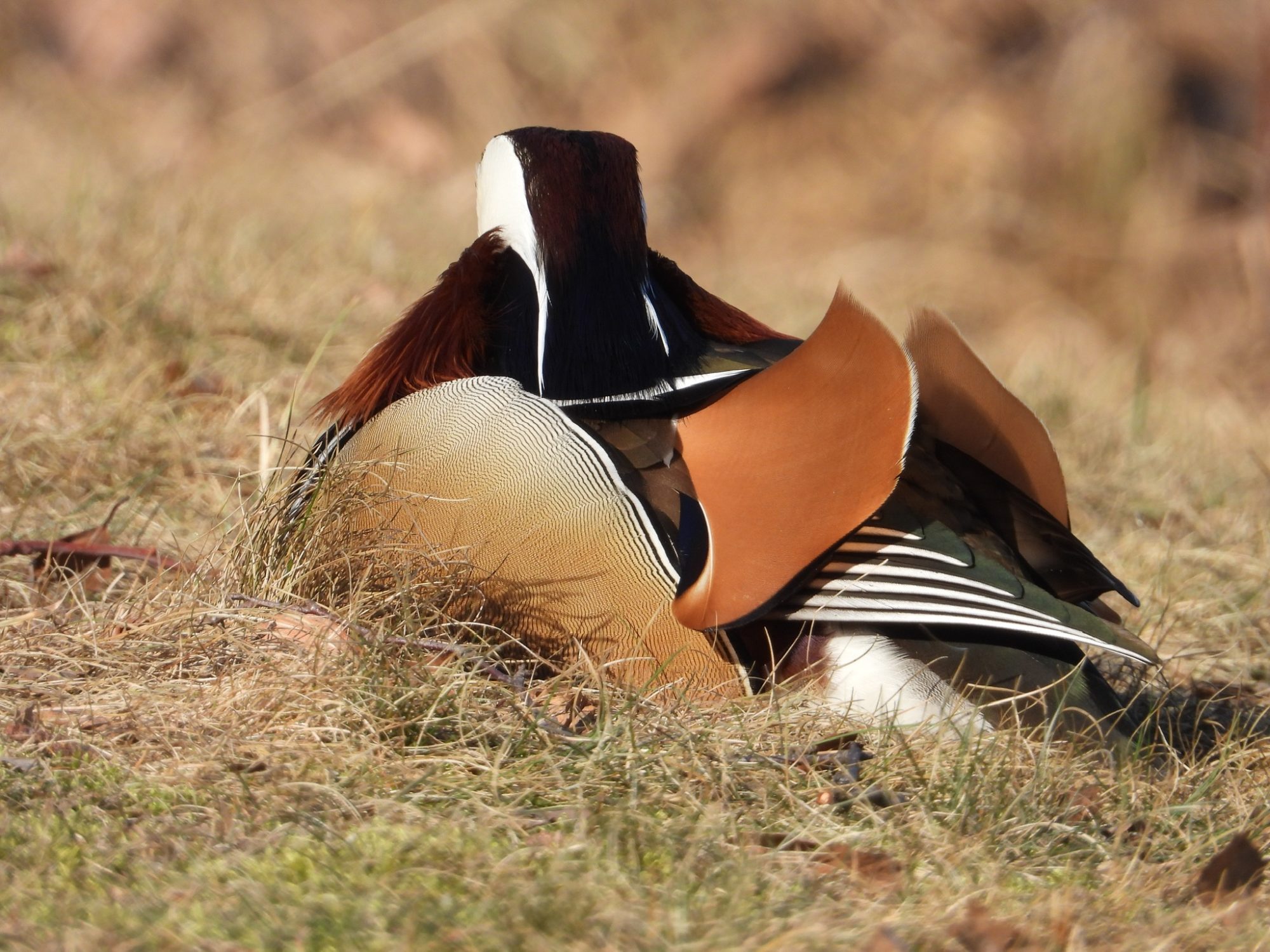 Valokuvaaja: Kari Lindroth