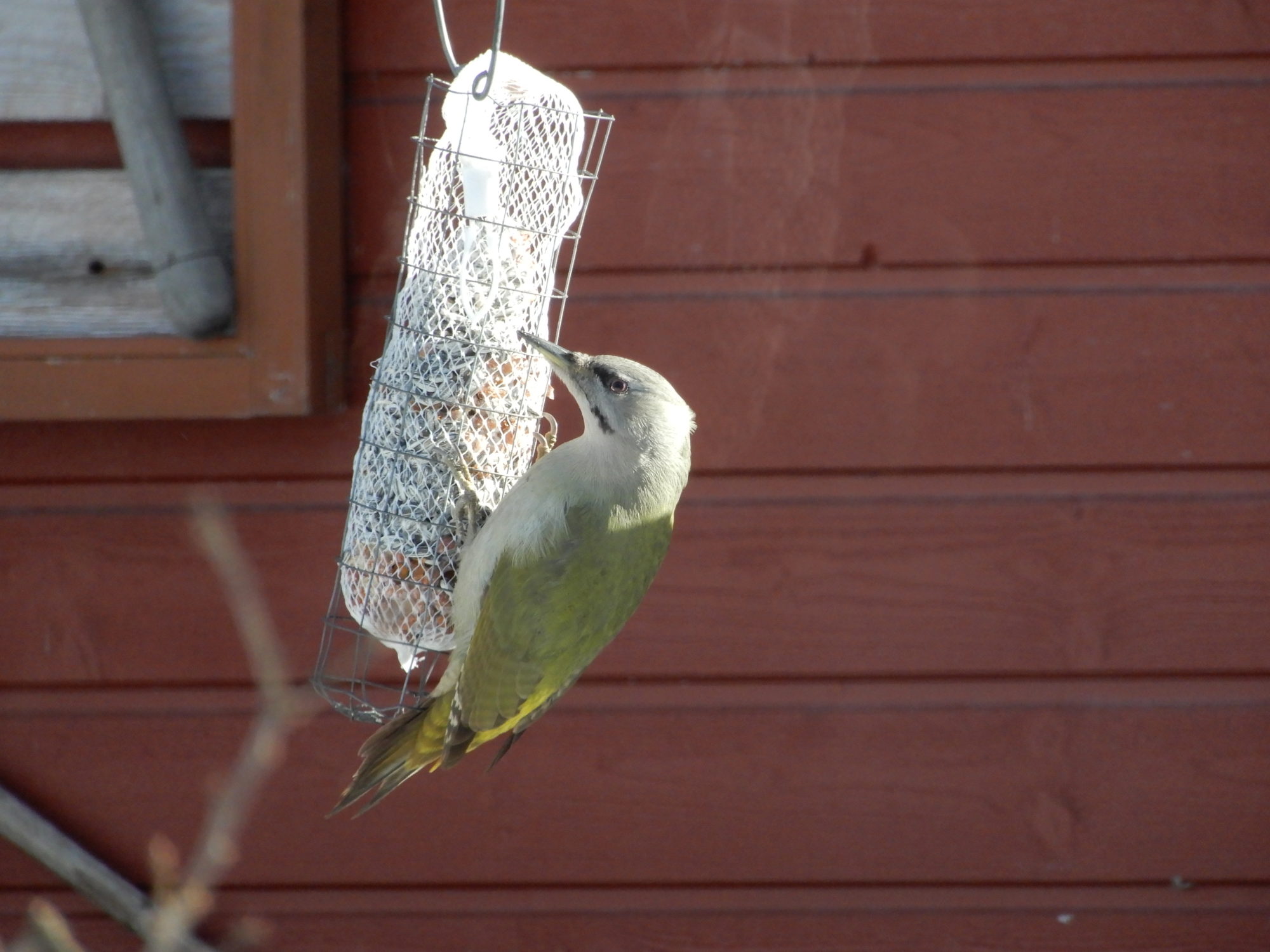 Valokuvaaja: Arto Laine