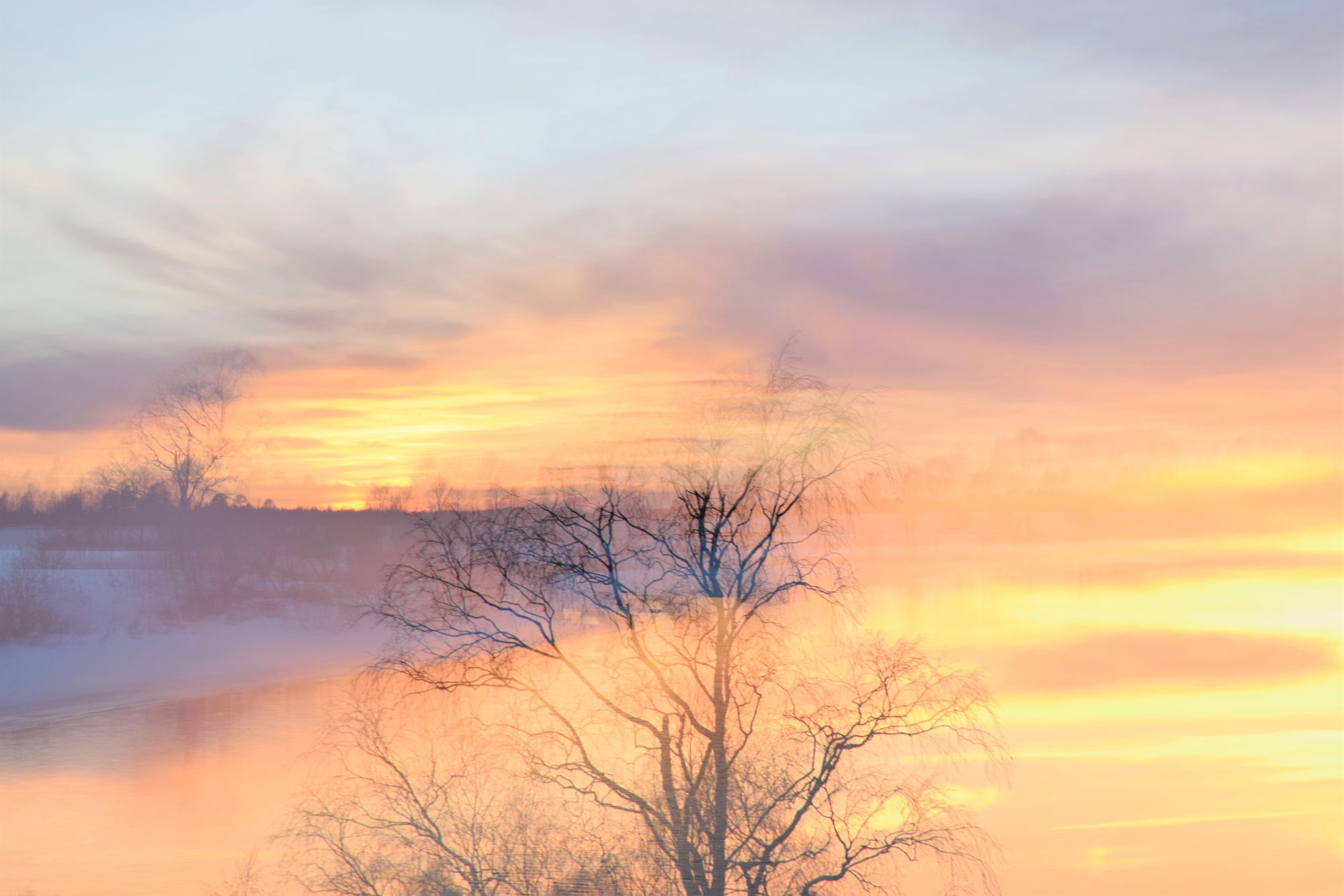Valokuvaaja: Leena Rissanen