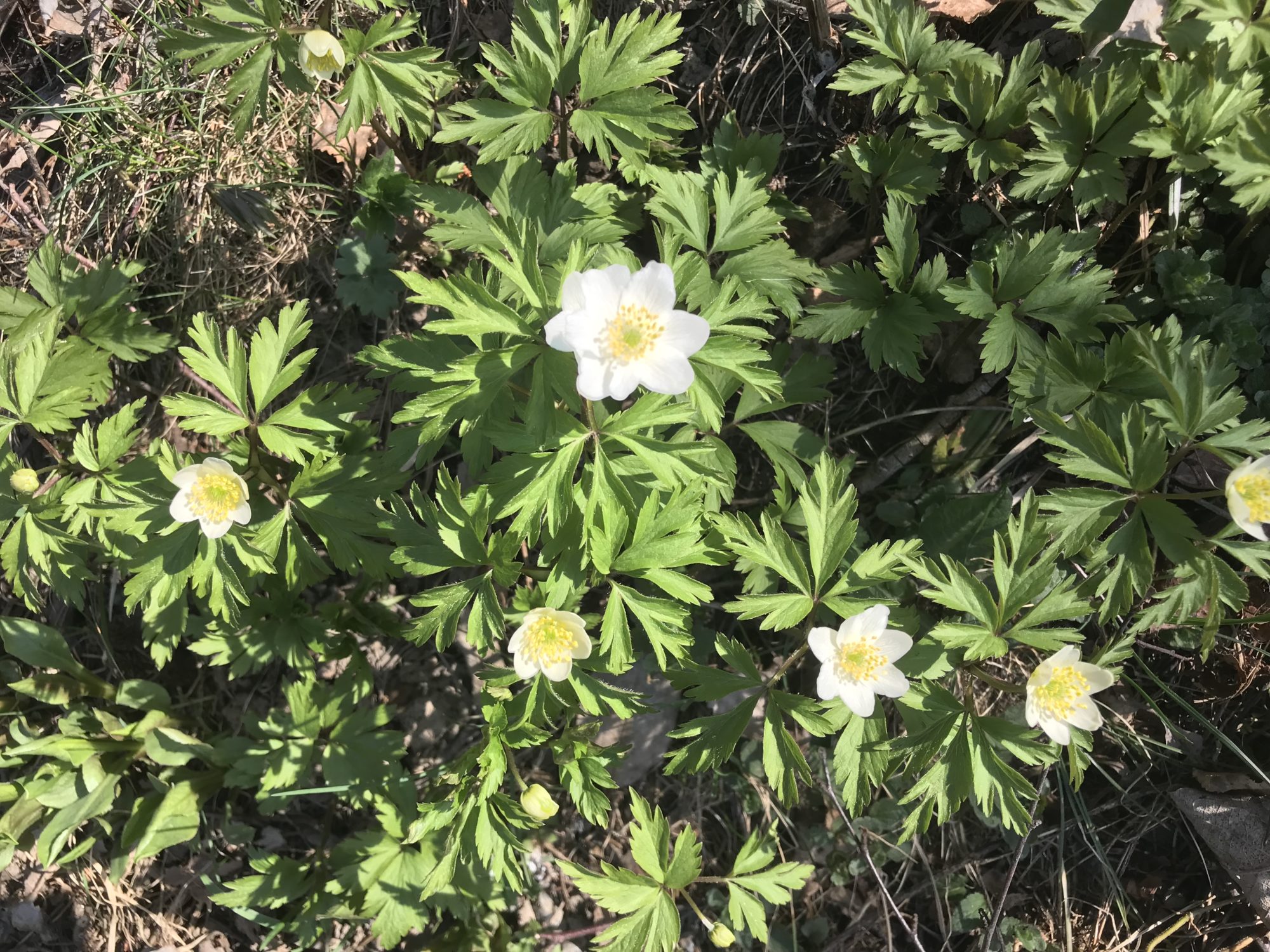 Valokuvaaja: Päivi Laine