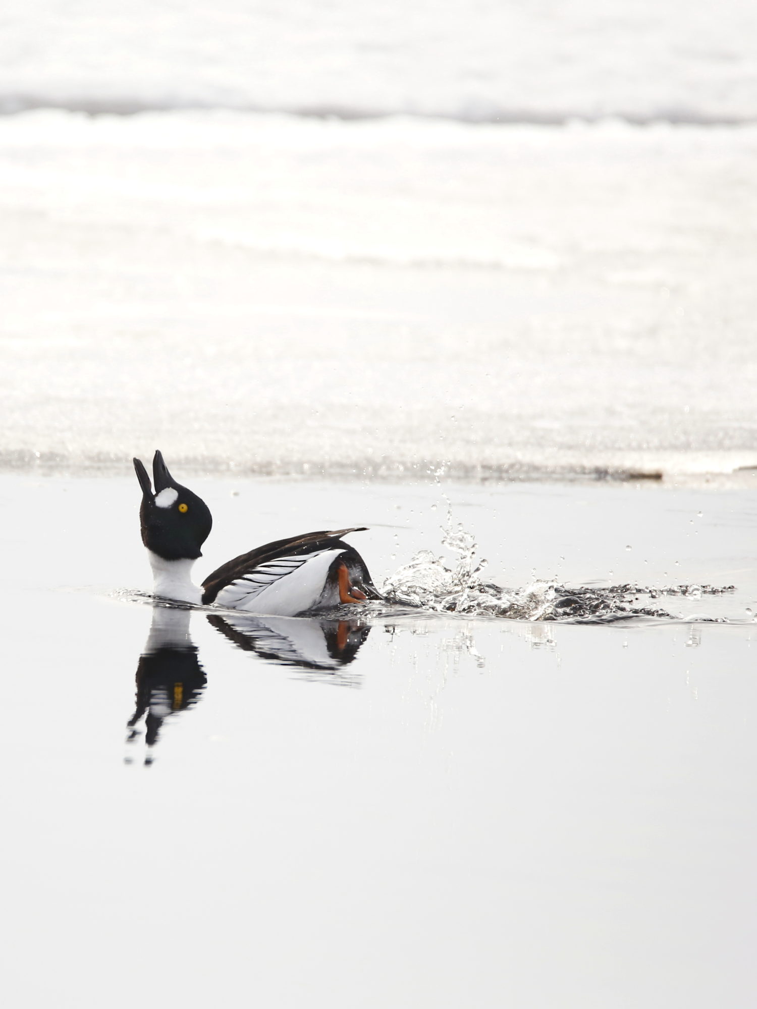 Valokuvaaja: Anne Jääskeläinen