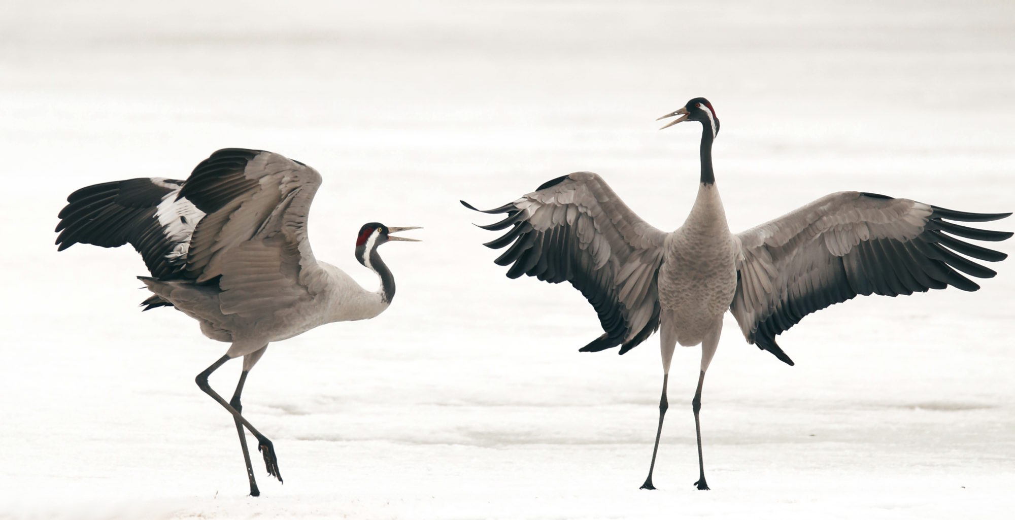 Valokuvaaja: Anne Jääskeläinen