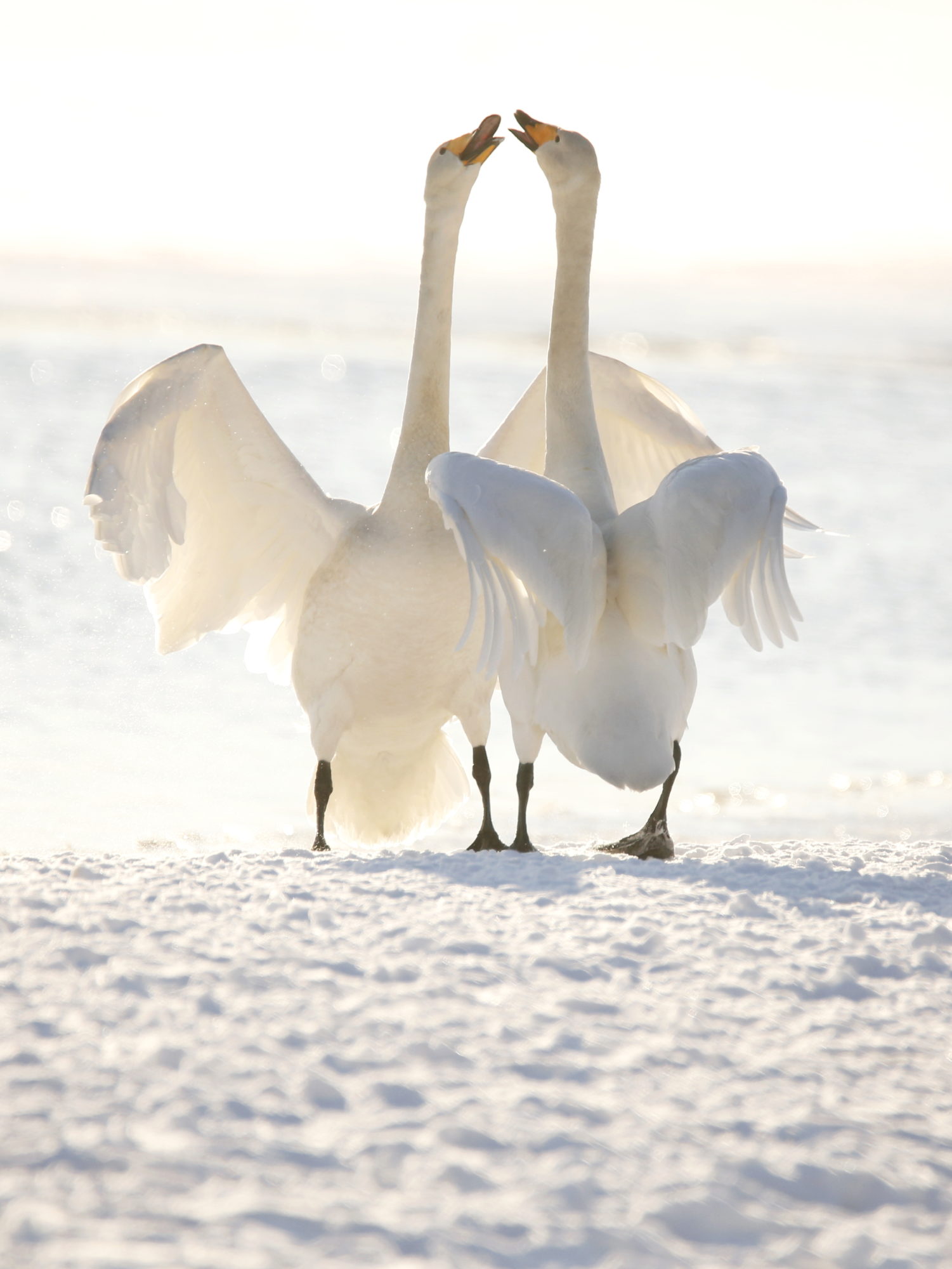 Valokuvaaja: Anne Jääskeläinen
