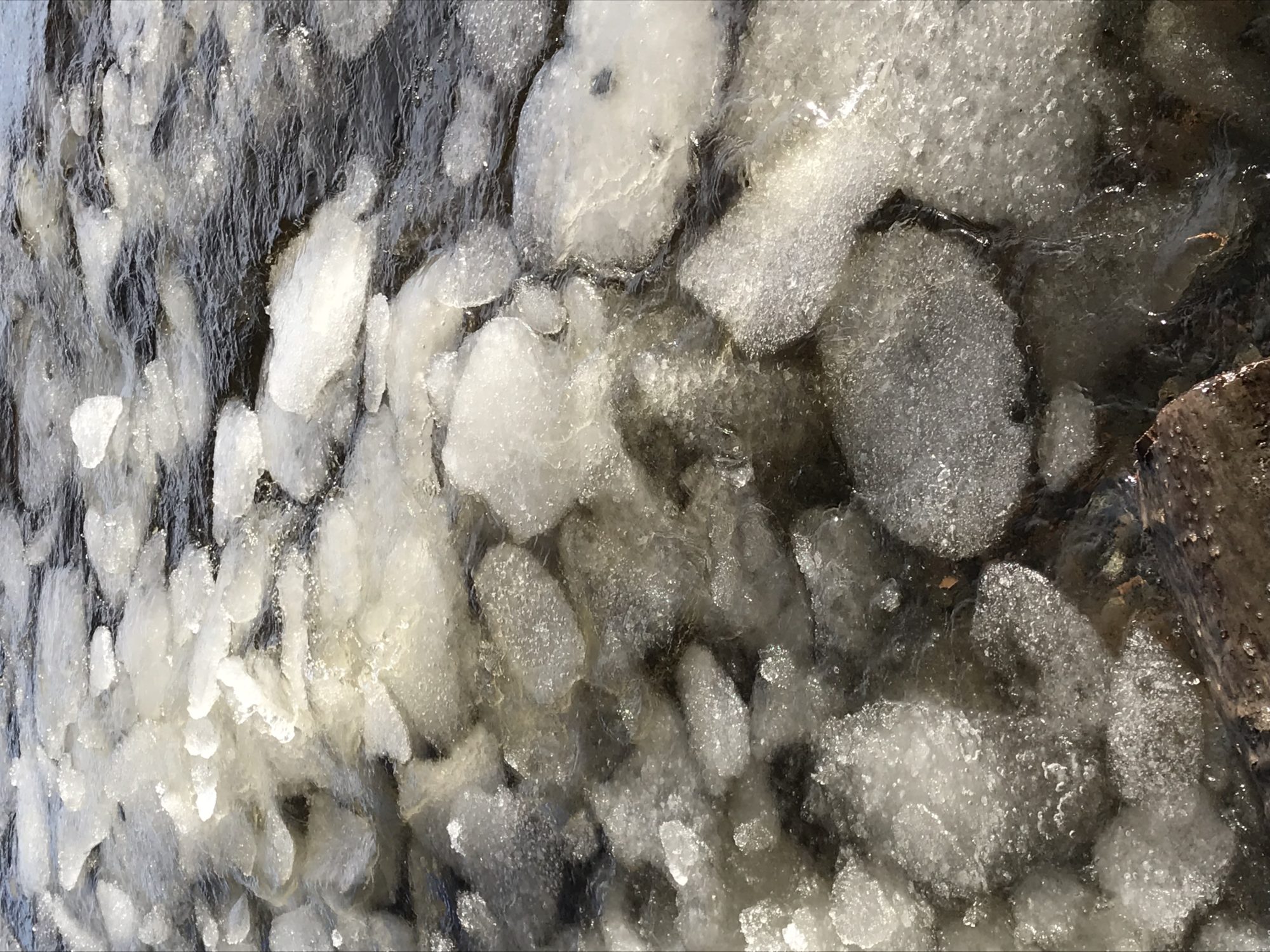 Valokuvaaja: Anne Patana Valokuvaaja: Anne Patana