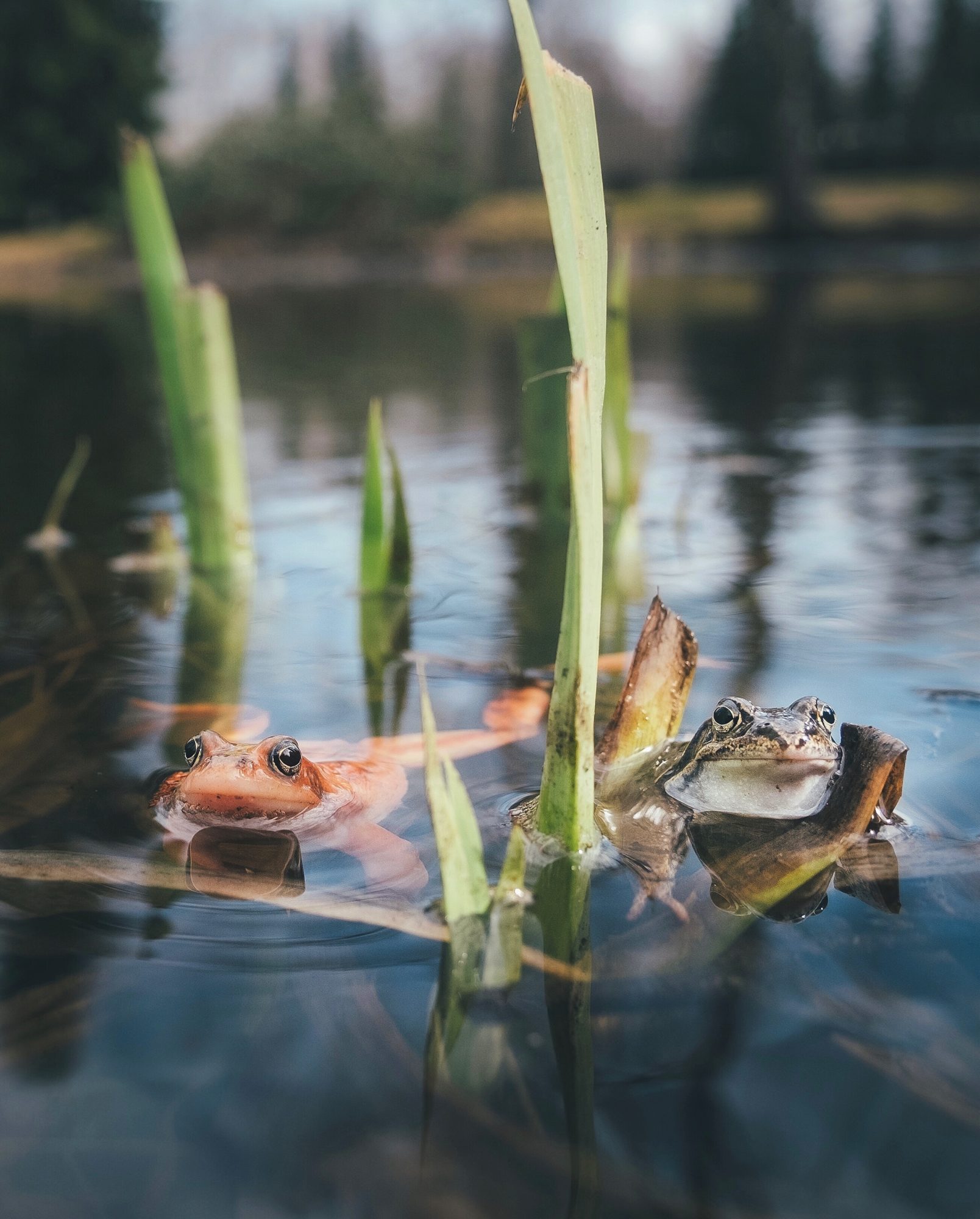 Valokuvaaja: Antti Rintala