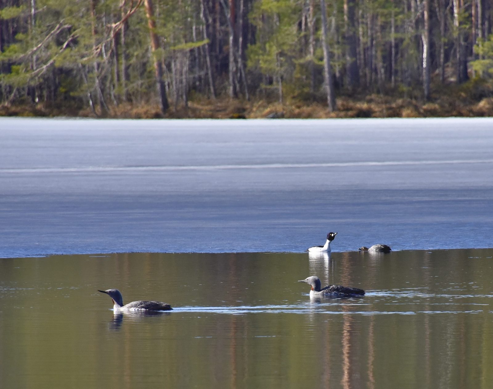 Valokuvaaja: Reijo Juurinen