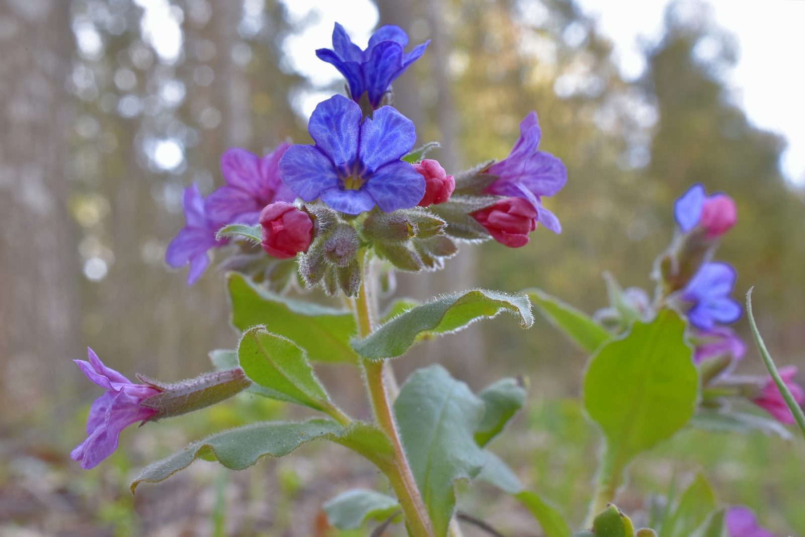 Valokuvaaja: Reijo Juurinen