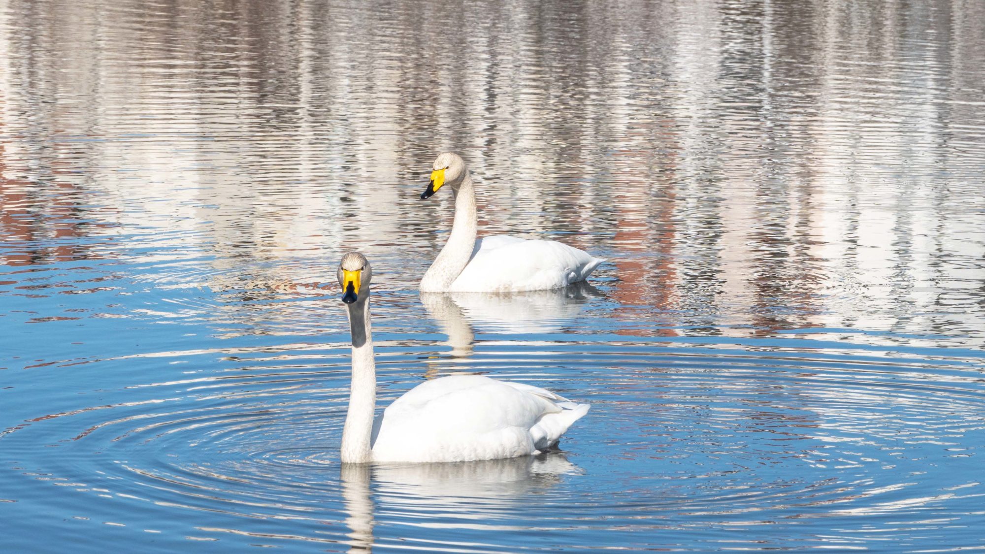 Valokuvaaja: Ari Tapaninen Valokuvaaja: Ari Tapaninen