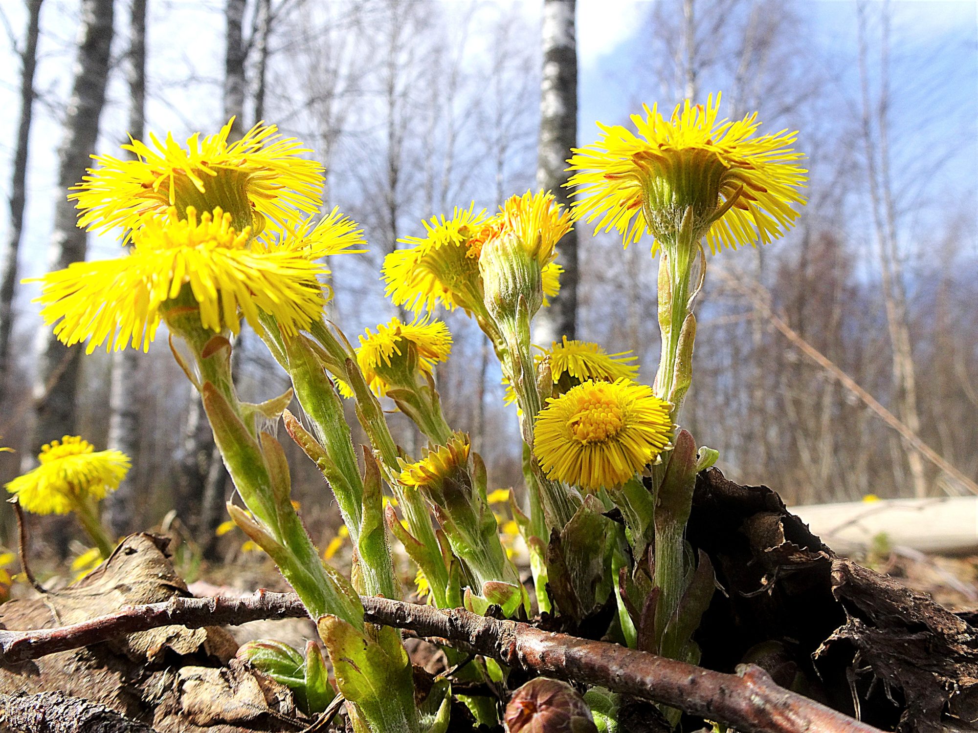 Valokuvaaja: Irja Lehtinen