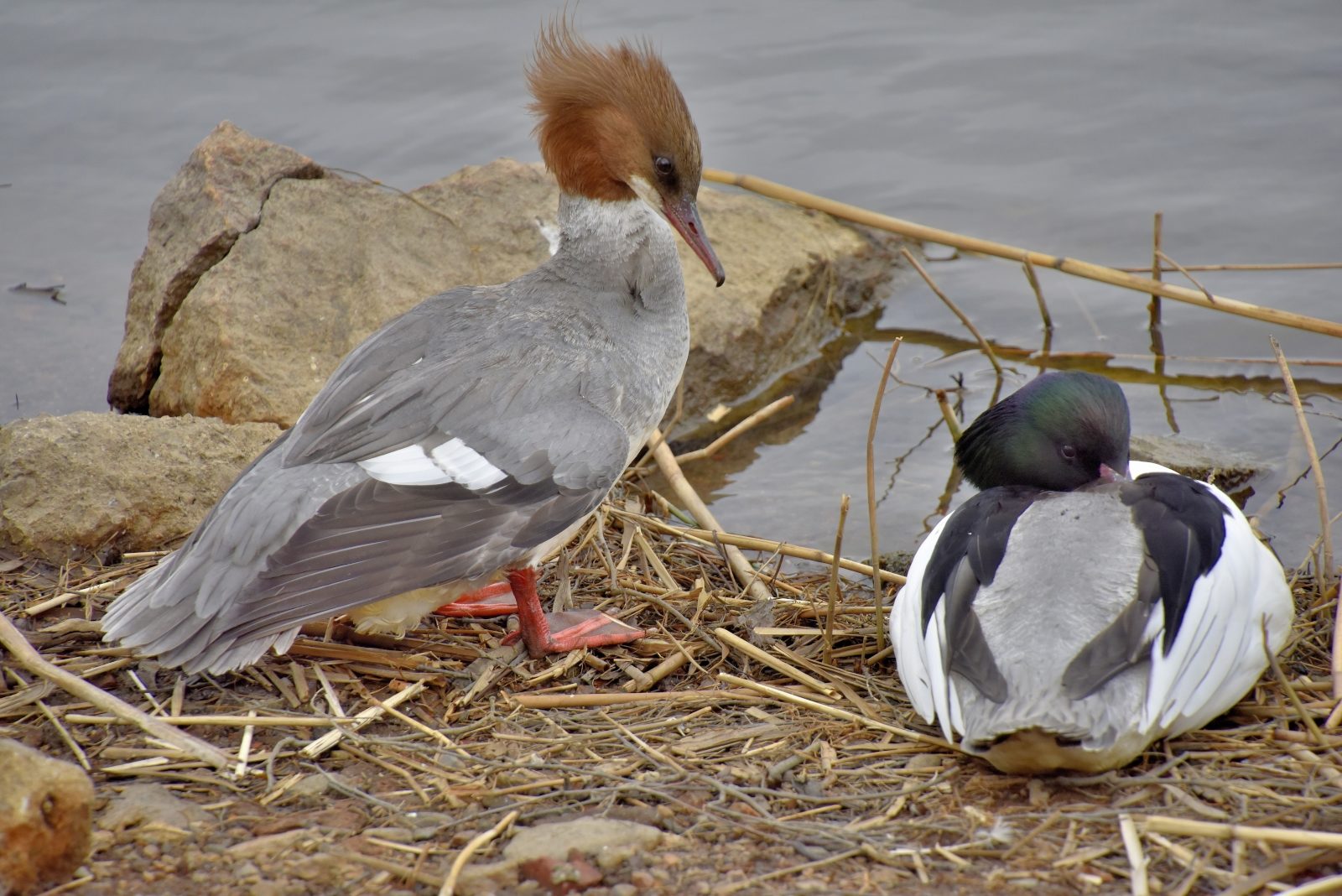 Valokuvaaja: Reijo Juurinen
