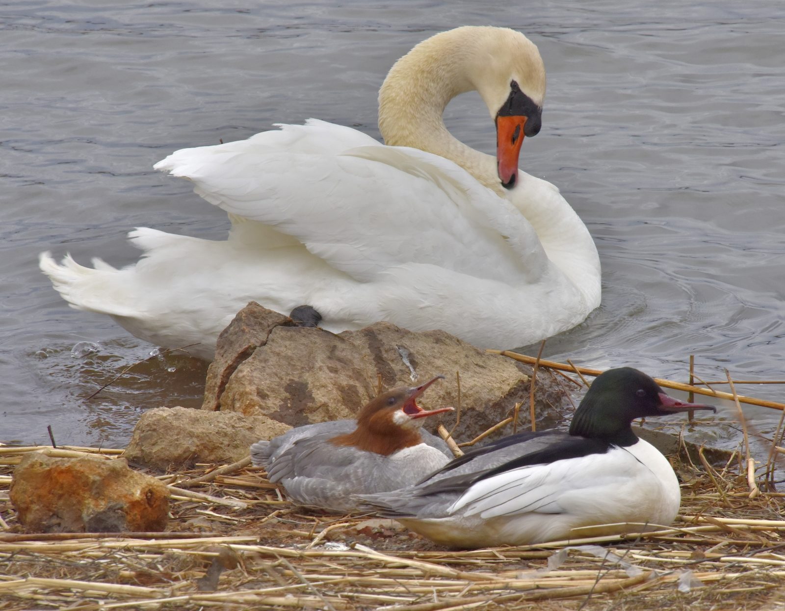 Valokuvaaja: Reijo Juurinen