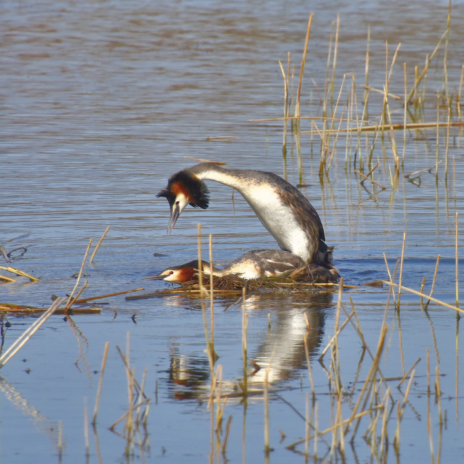 Valokuvaaja: Reijo Juurinen