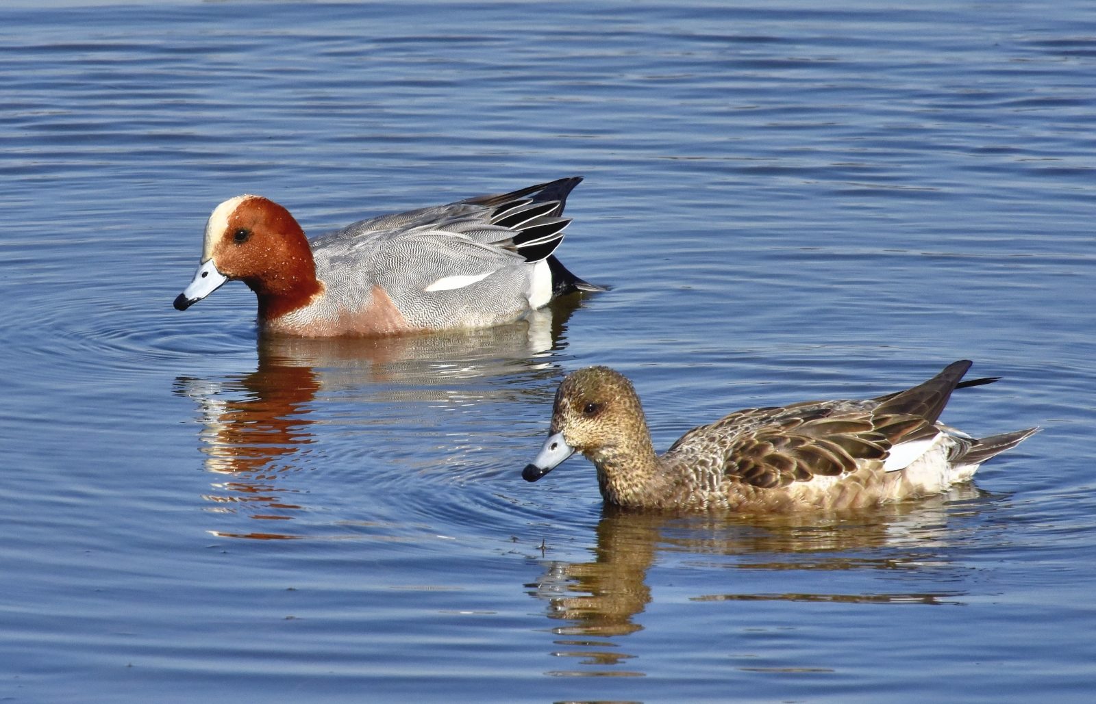 Valokuvaaja: Reijo Juurinen