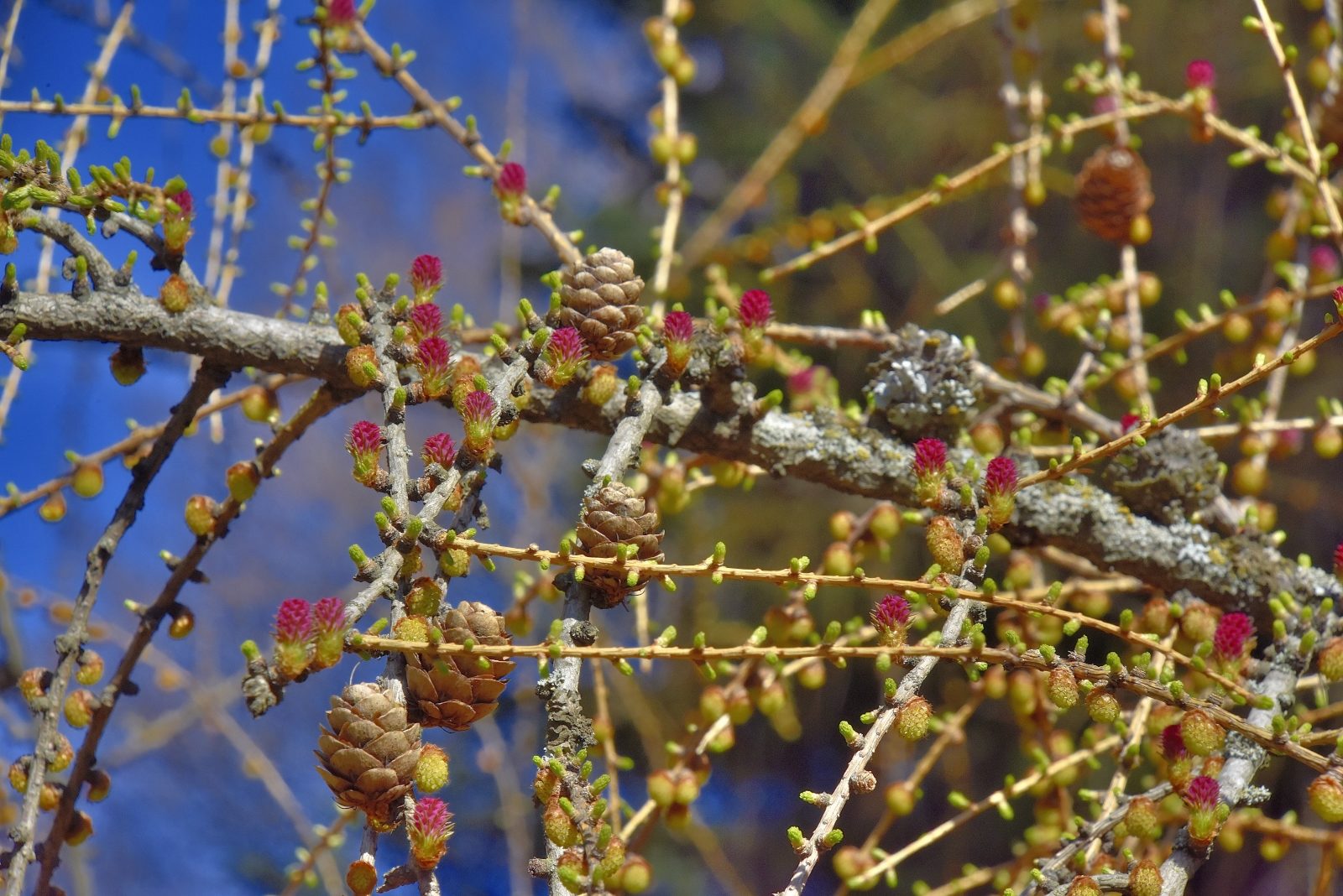 Valokuvaaja: Reijo Juurinen