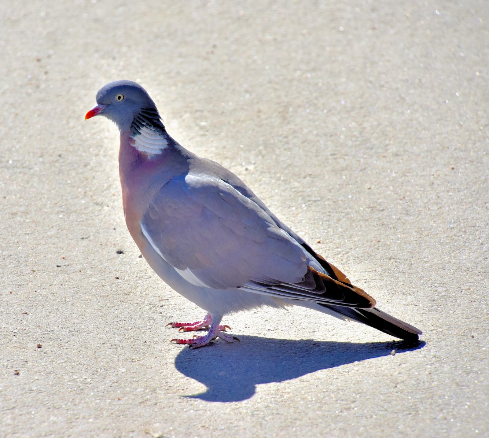 Valokuvaaja: Reijo Juurinen