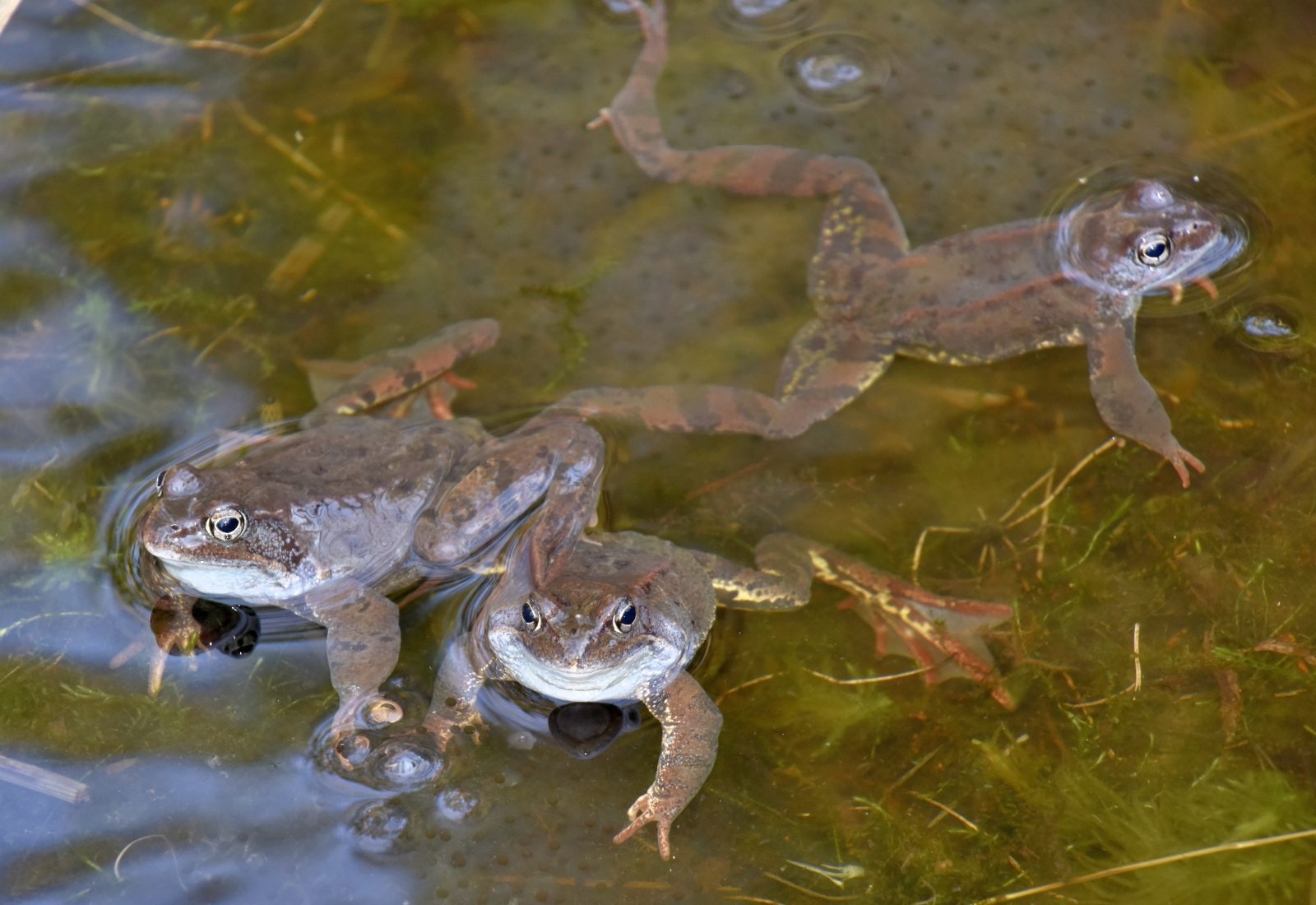 Valokuvaaja: Reijo Juurinen