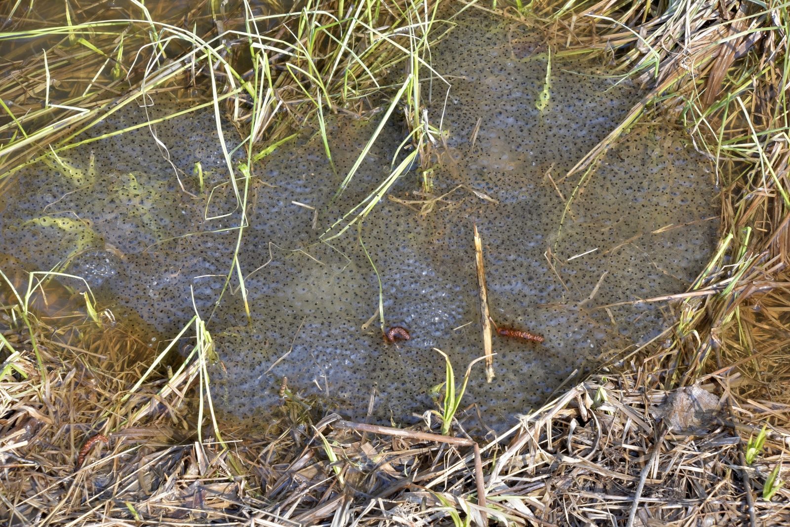 Valokuvaaja: Reijo Juurinen Valokuvaaja: Reijo Juurinen